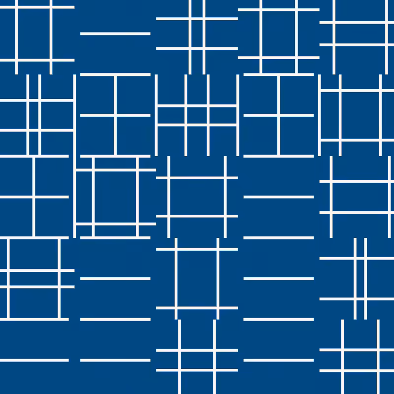 CENTURY-XXX-METAMORELLET #981