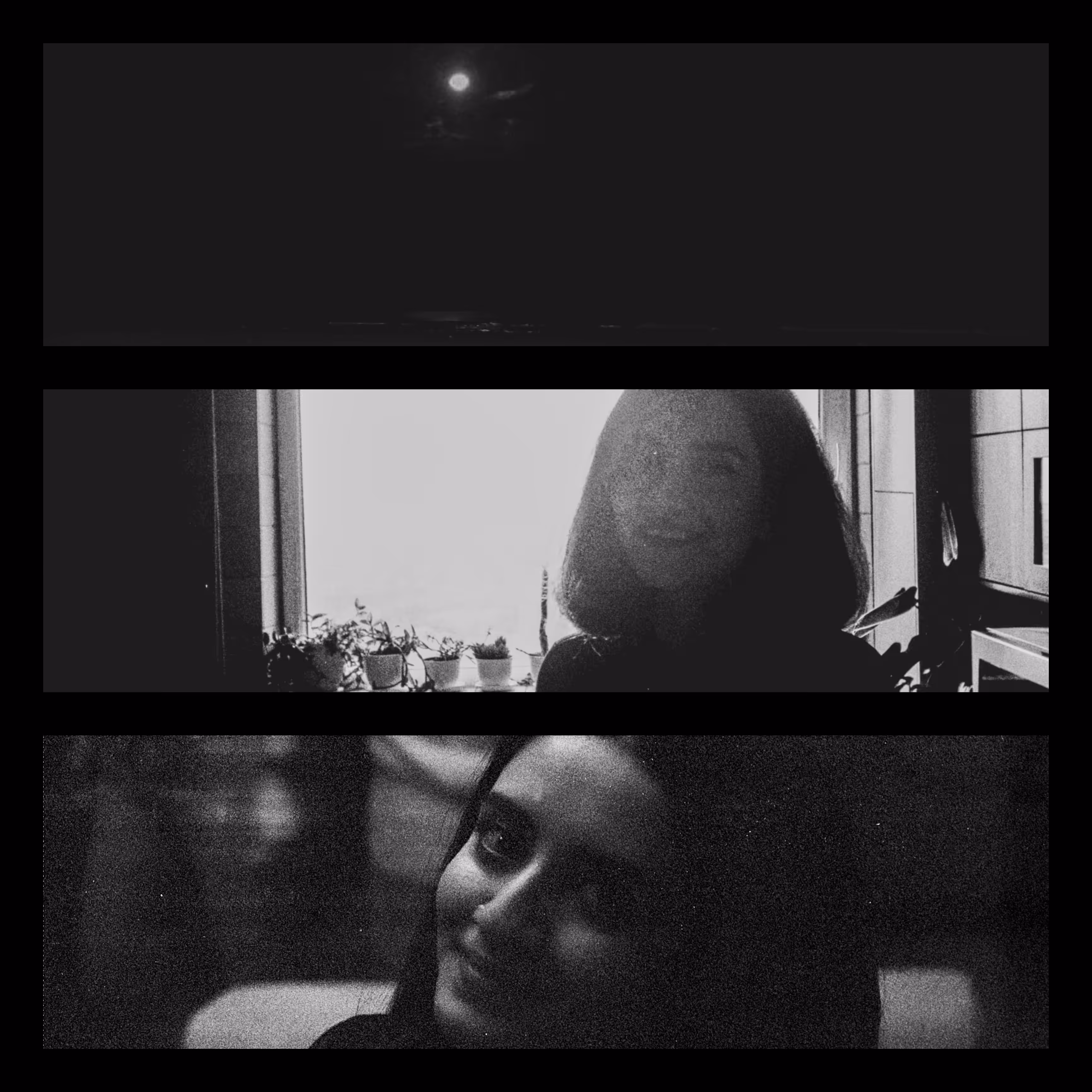 Happy moonlight
