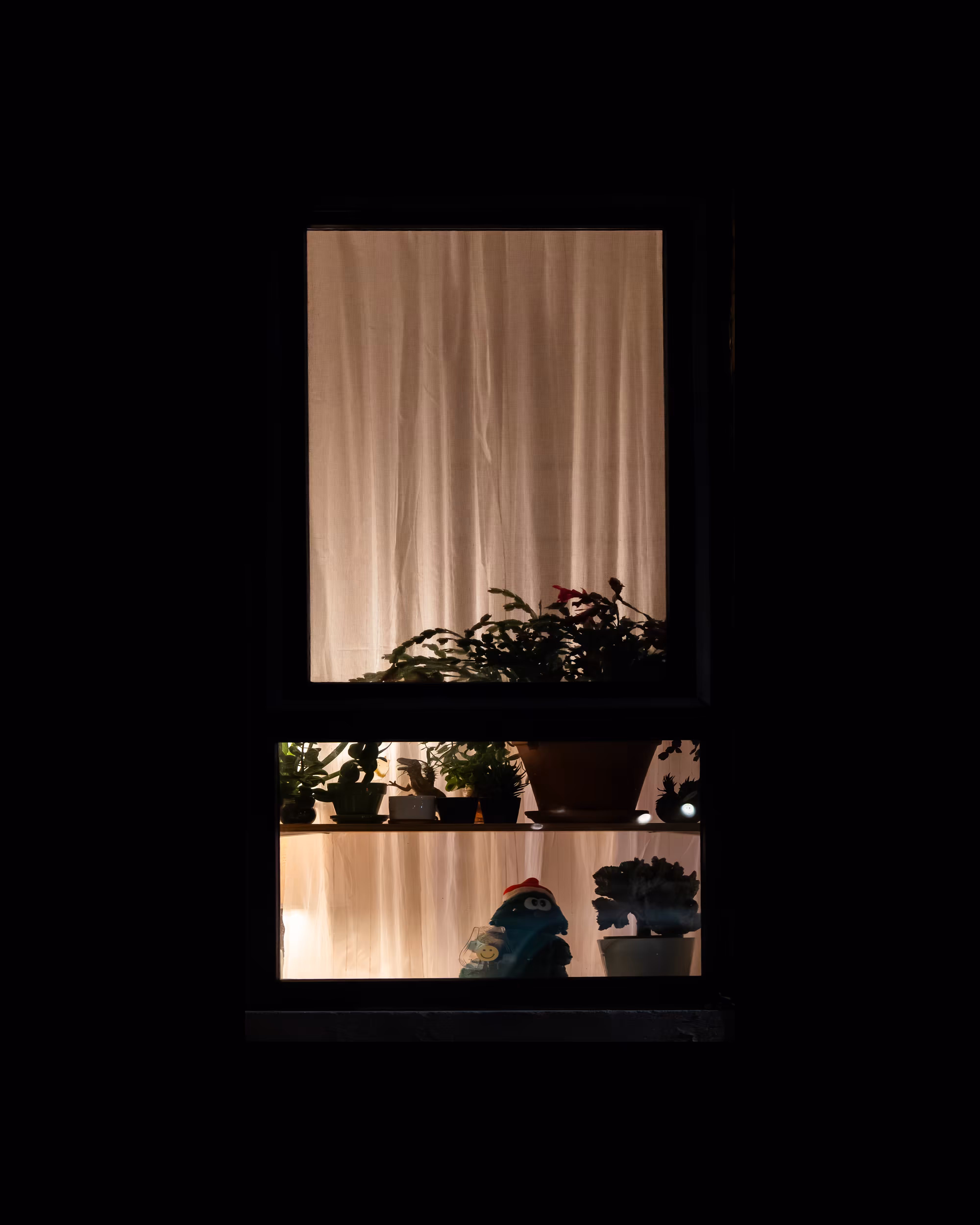 WINDOWS // NYC: WINDOW 520