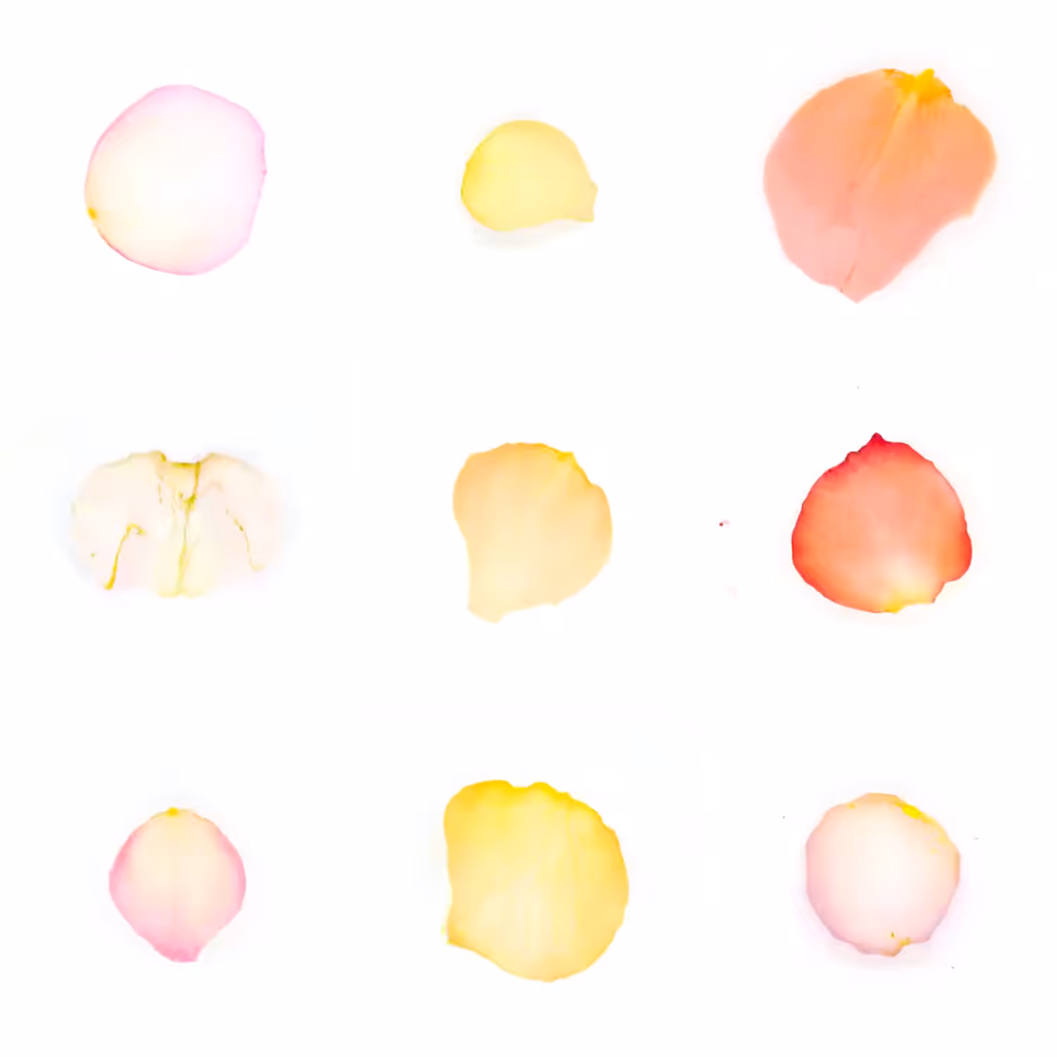 Infinite Petals 3x3#3183