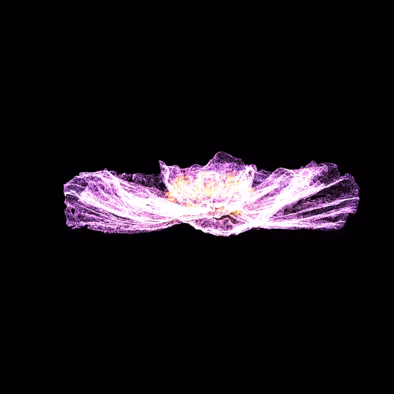 White Poppy 30 #289