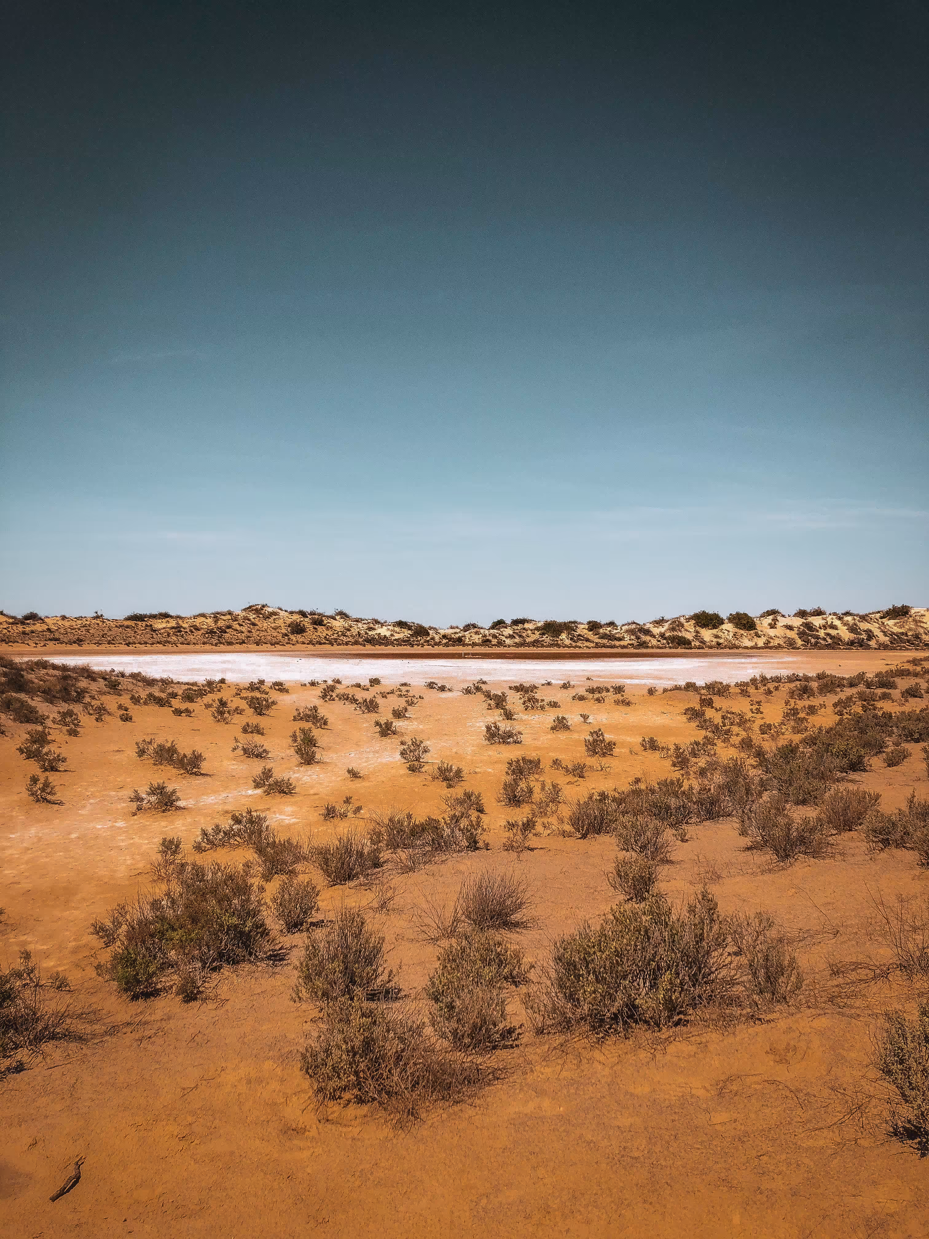 oasis