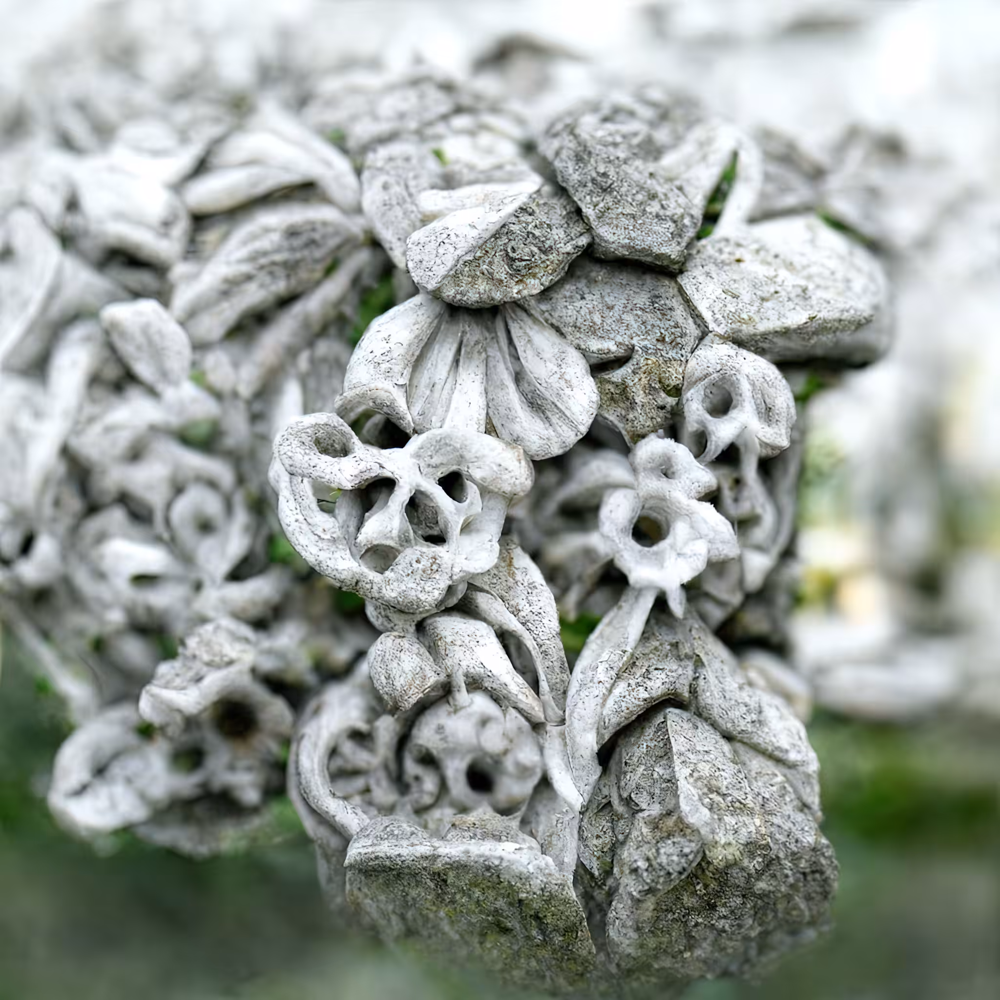 Stone Roses #4