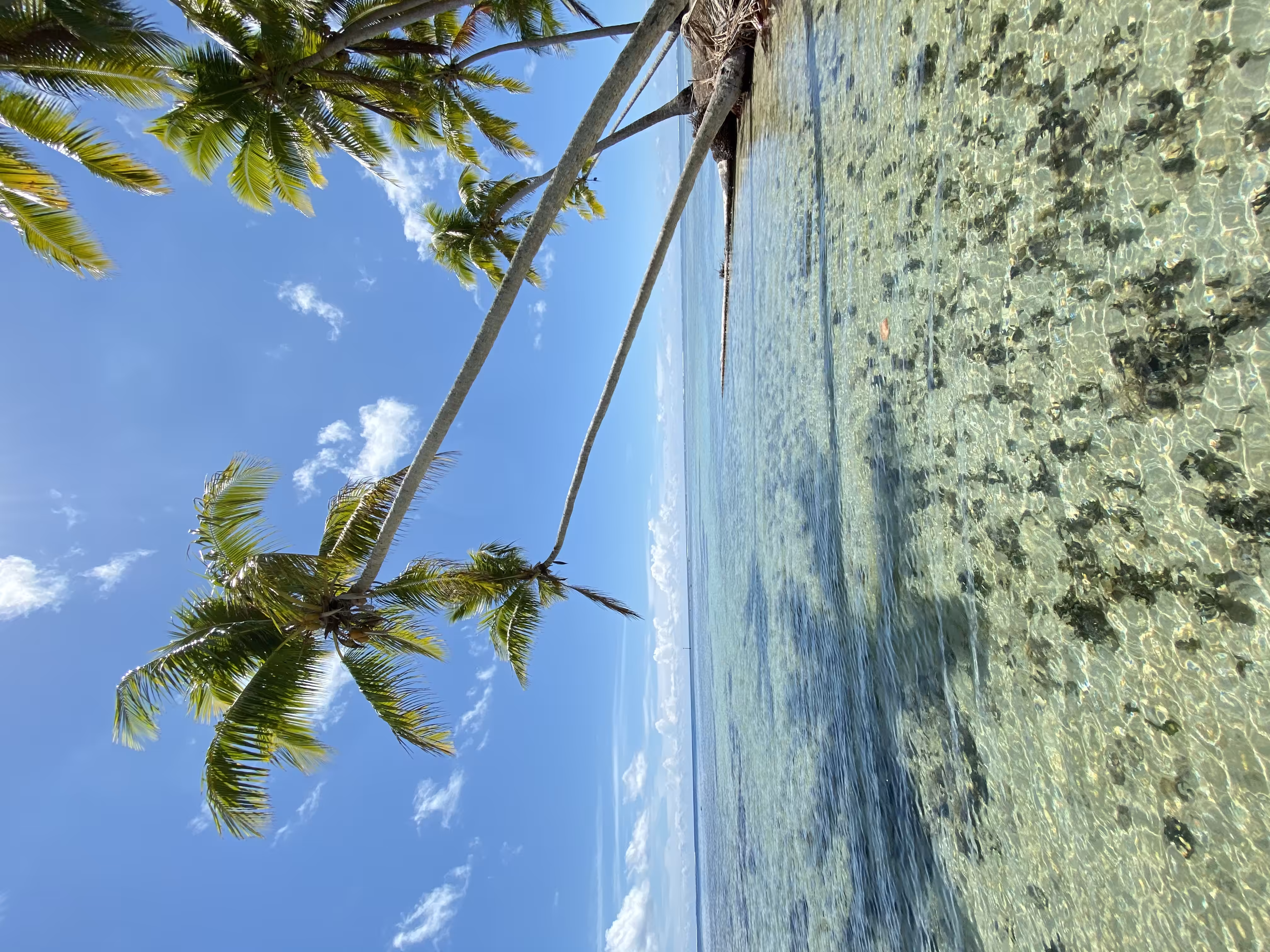 Mirimiri motu, Raiatea, Tahiti