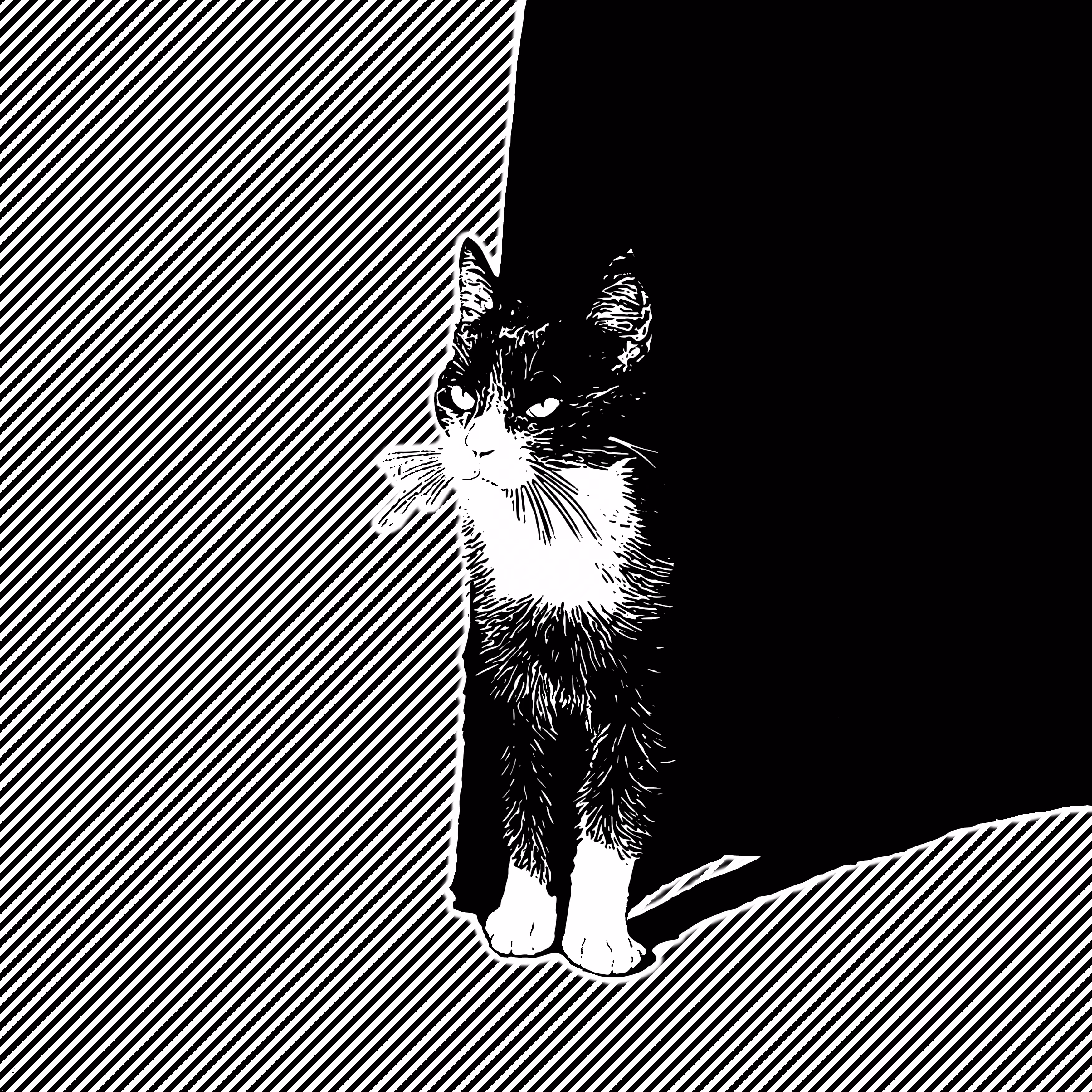 ⅅ𝙤ʂɧΐ