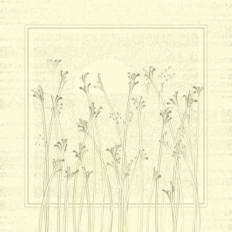 string_pllu #20
