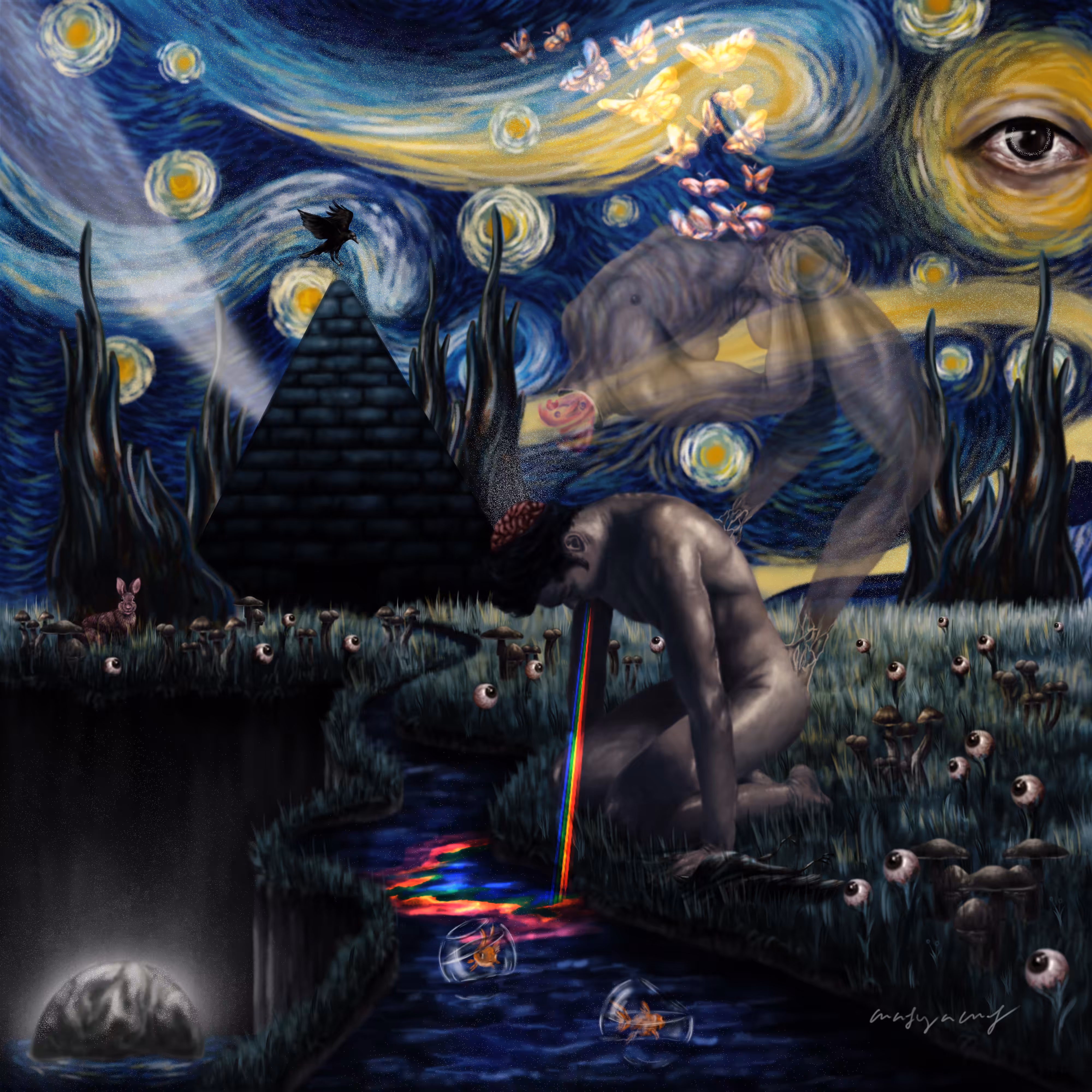 Pink Floyd Comfort Zone