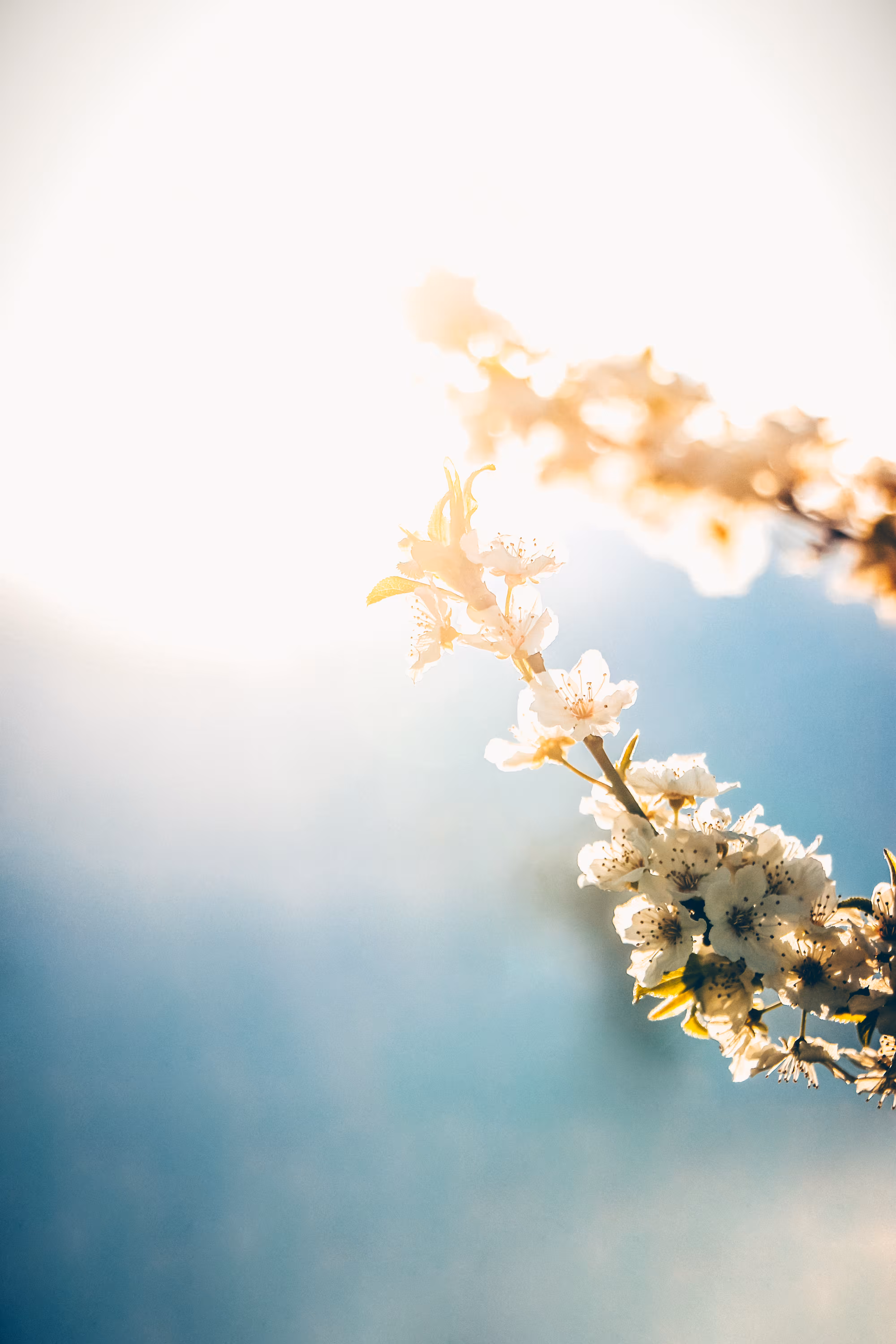 Nature’s rebirth 