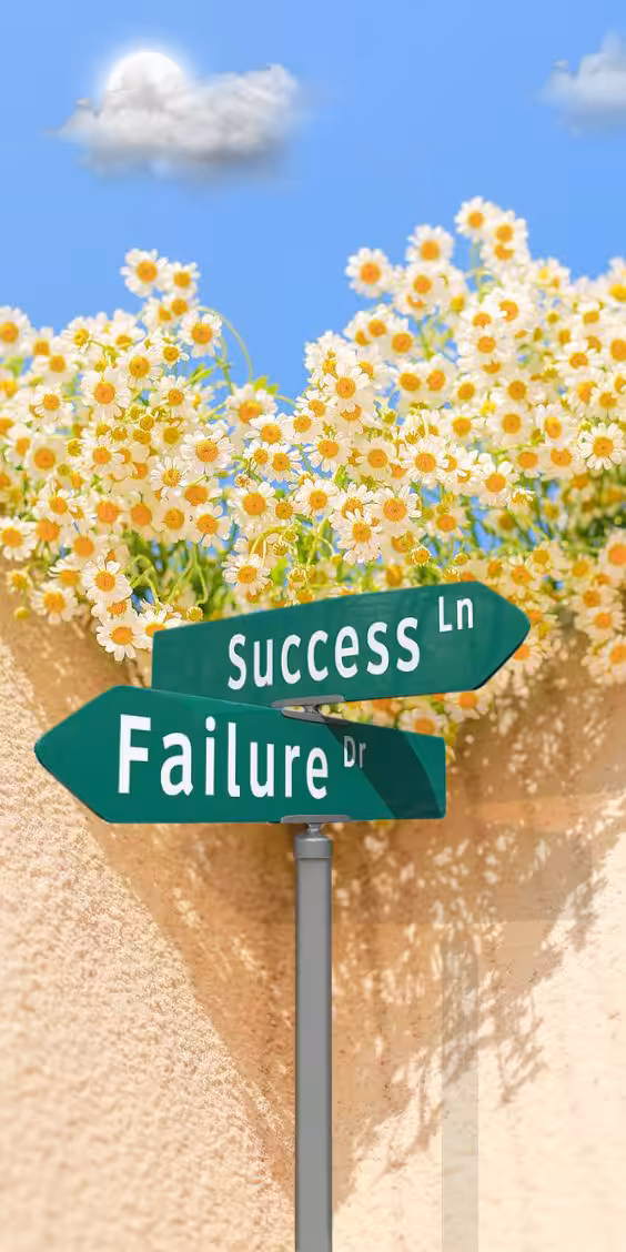 Success or failures 
