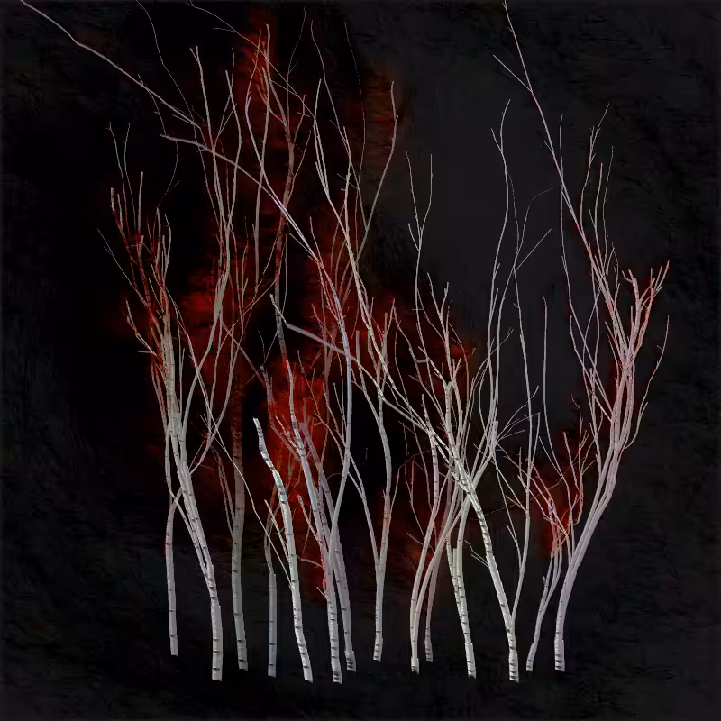 Grove #32