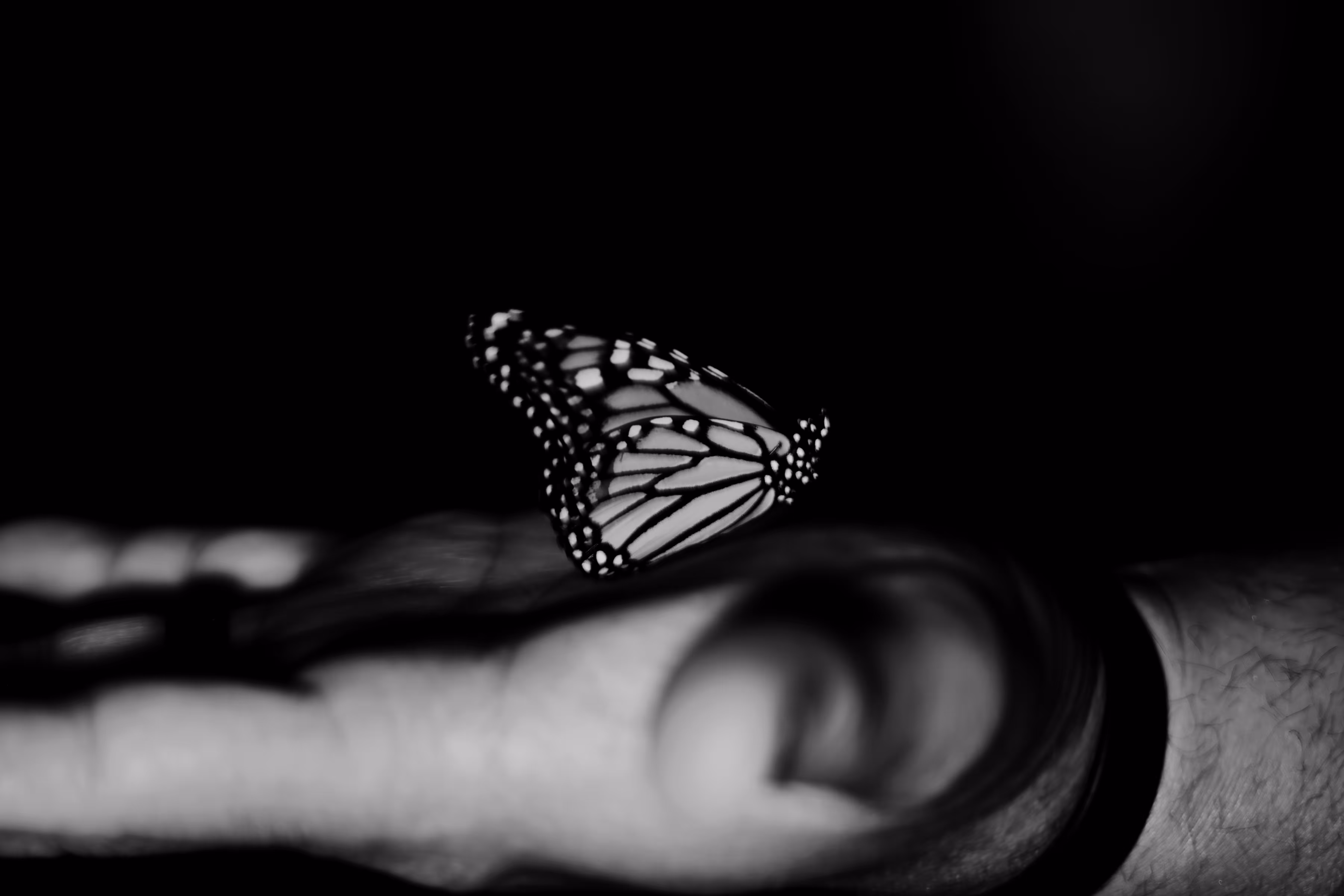 _reciprocal action