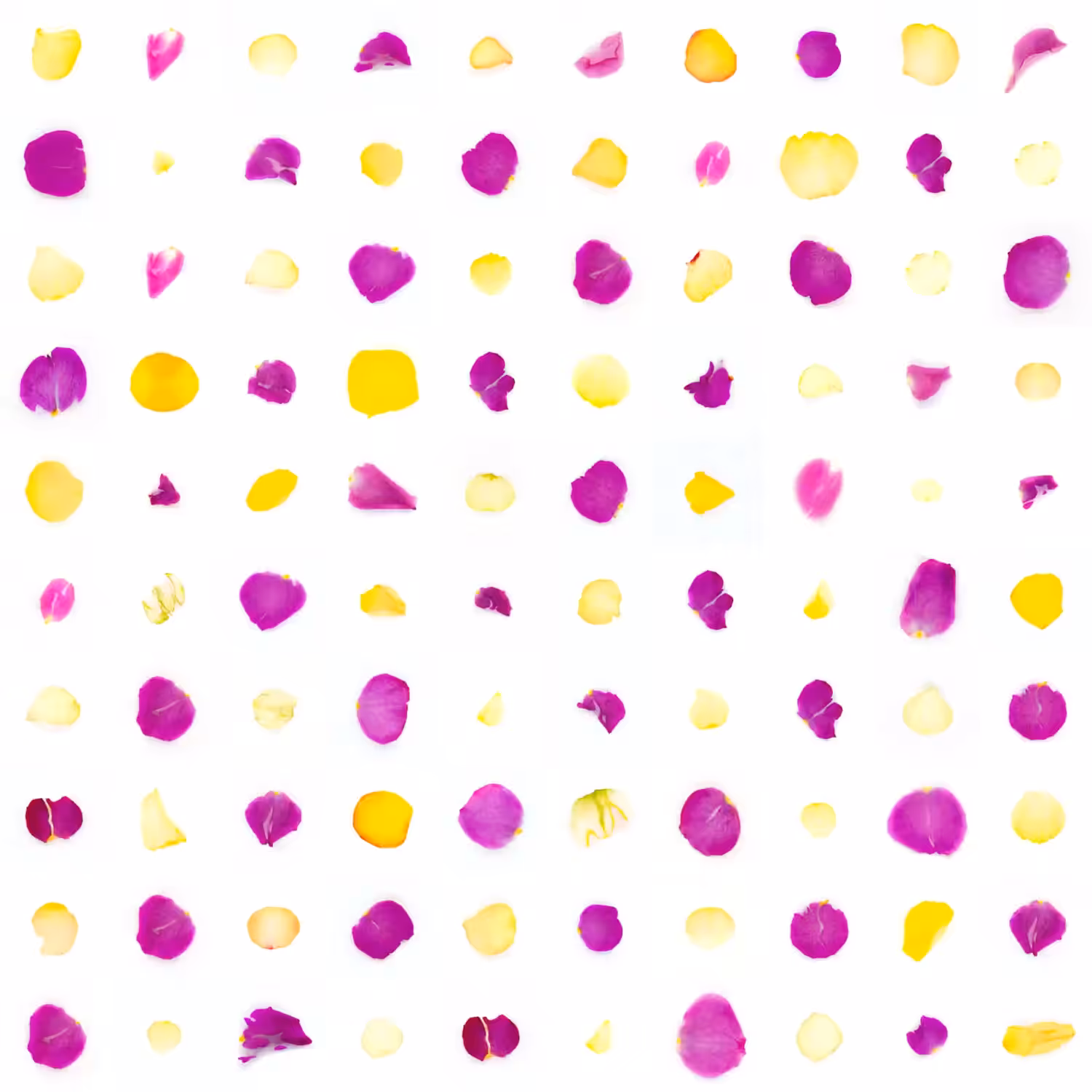 Infinite Petals 10x10#20015