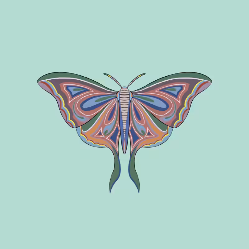 The Moth Experiment 2.0 P2 #26