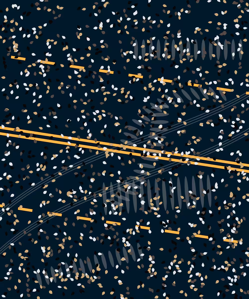 Road #3