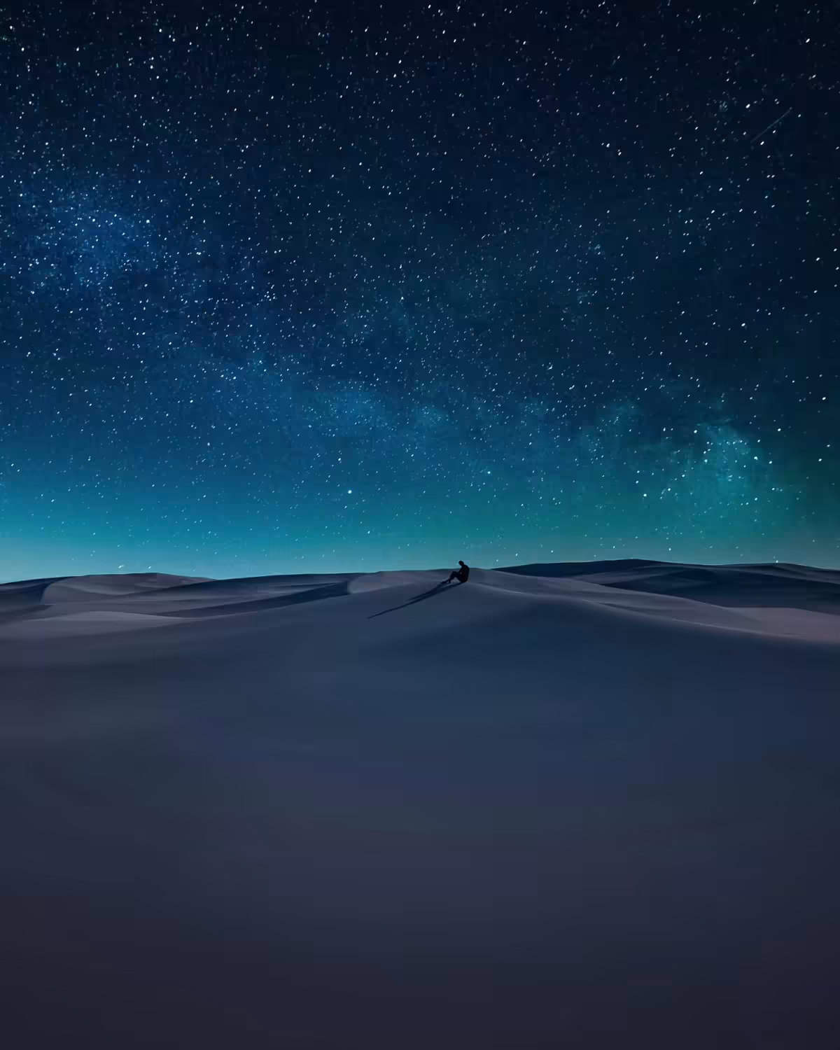 DUNESCAPE X