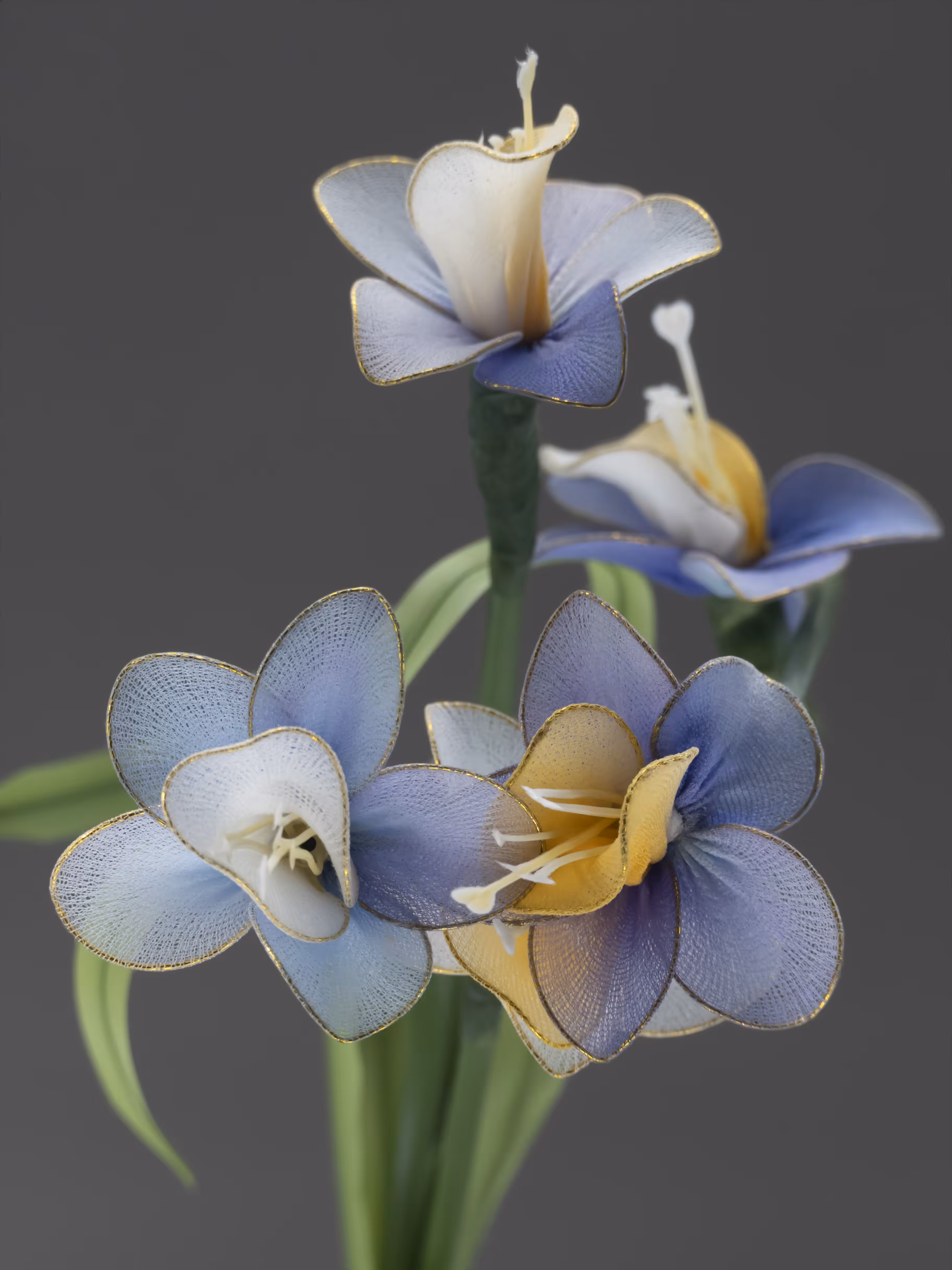 Fleur d'Artifice (Bouquet)