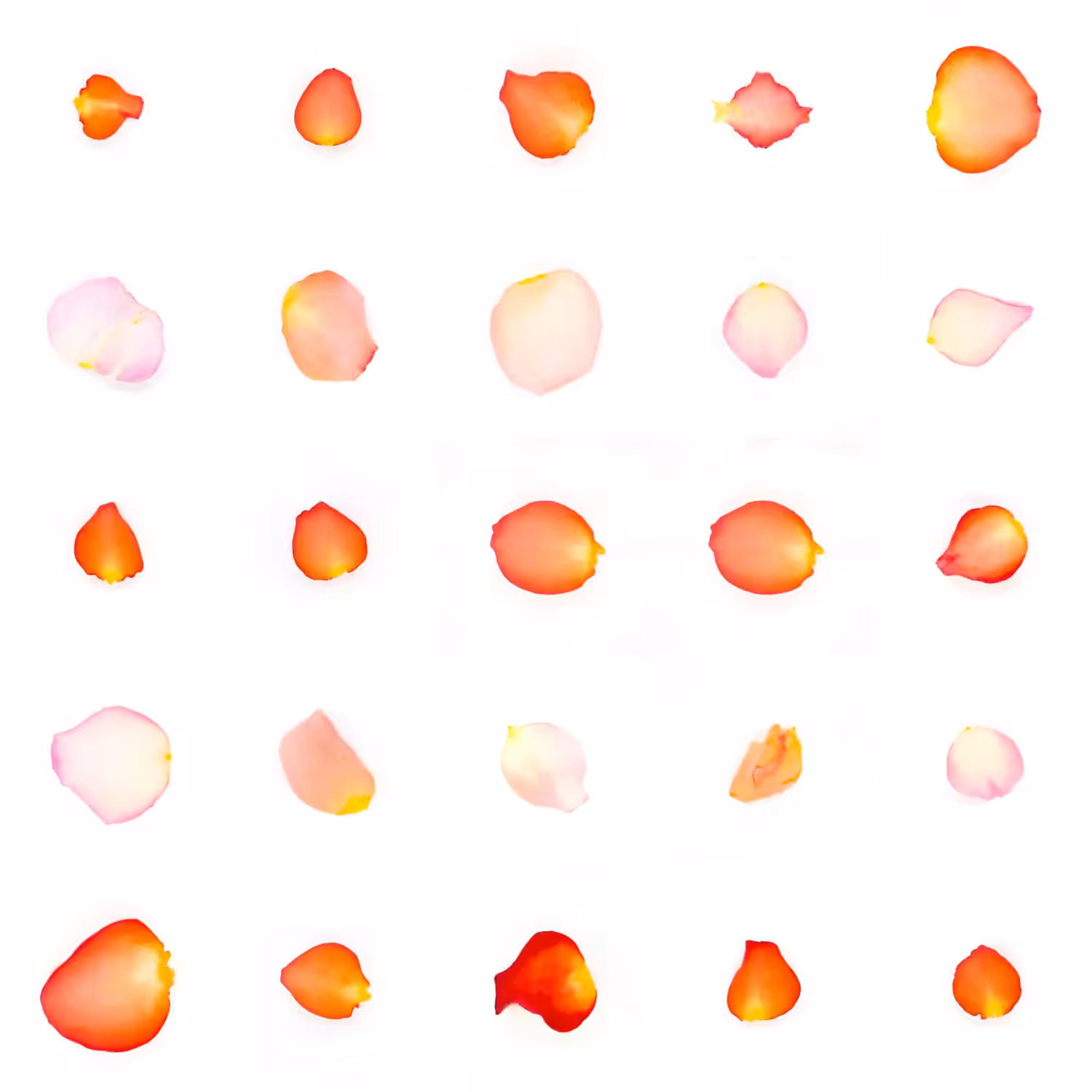 Infinite Petals 5x5#2303