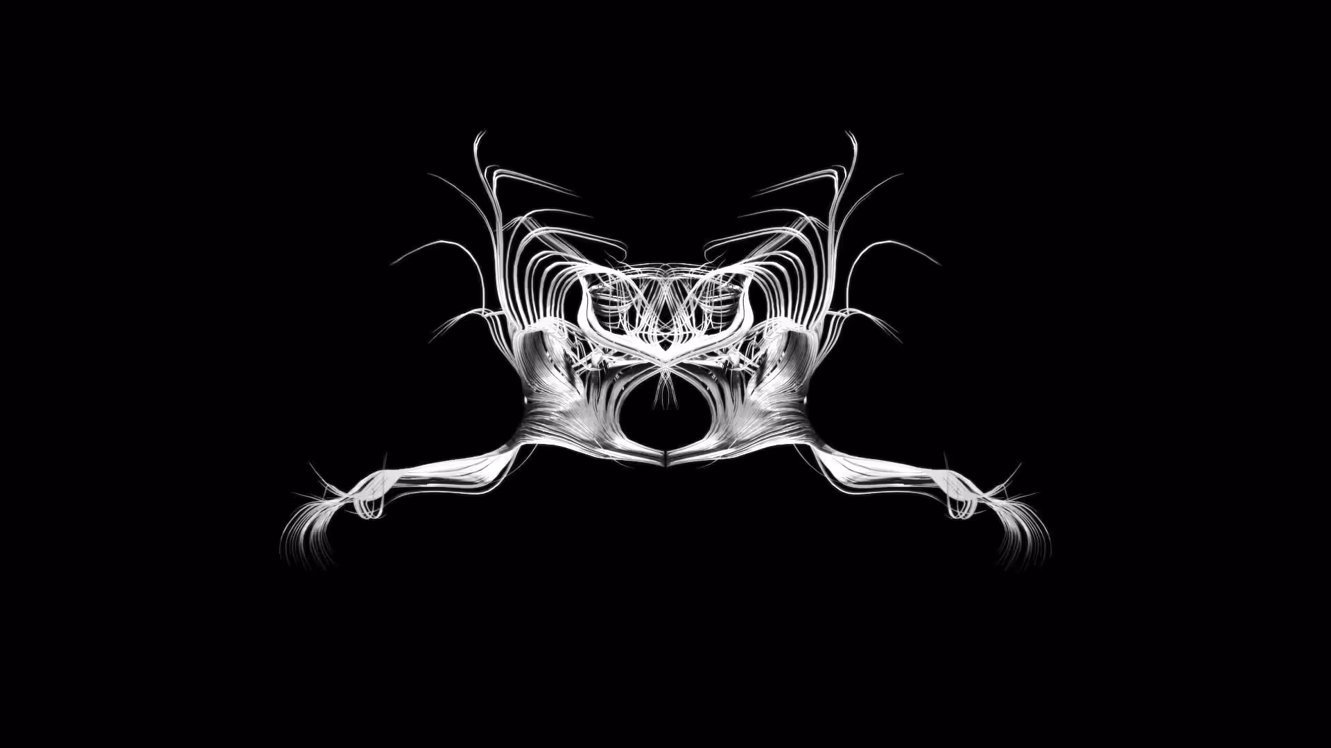Entropy 25