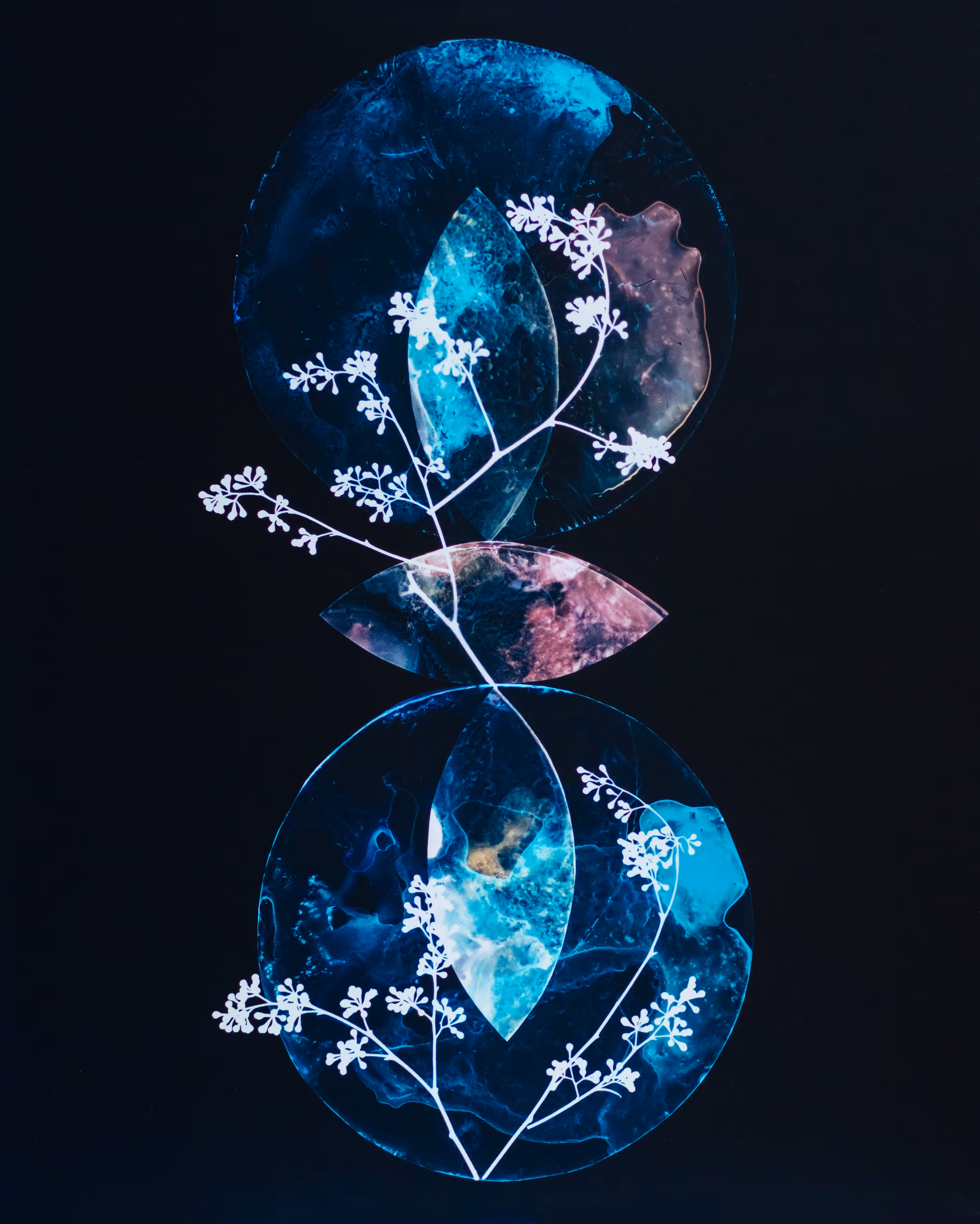 Photo/Synthesis, #14 (NFT + unique print)
