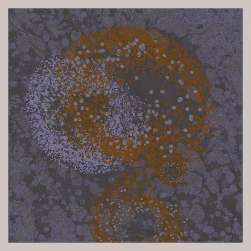 Jellyfish #62