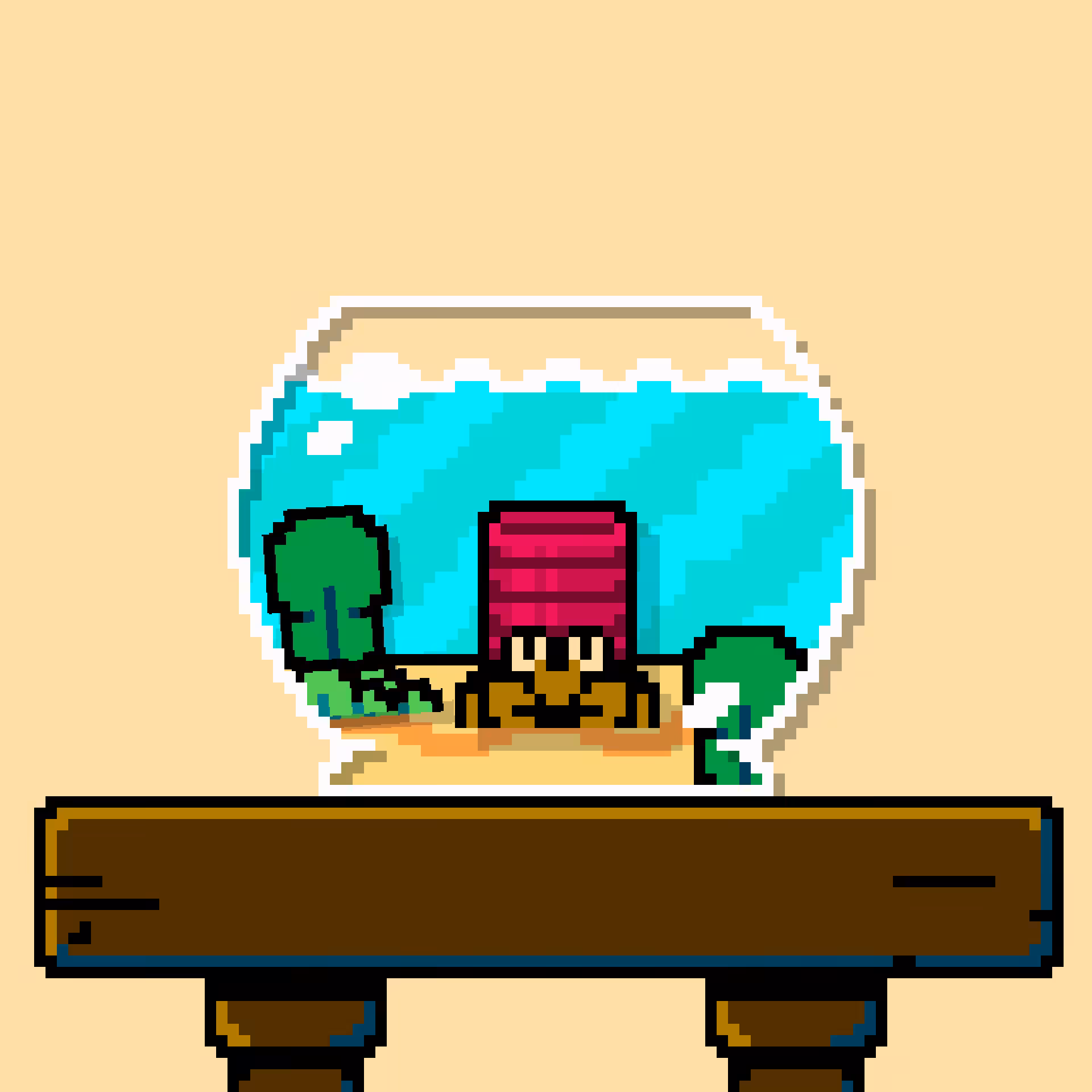 hermit crab #75