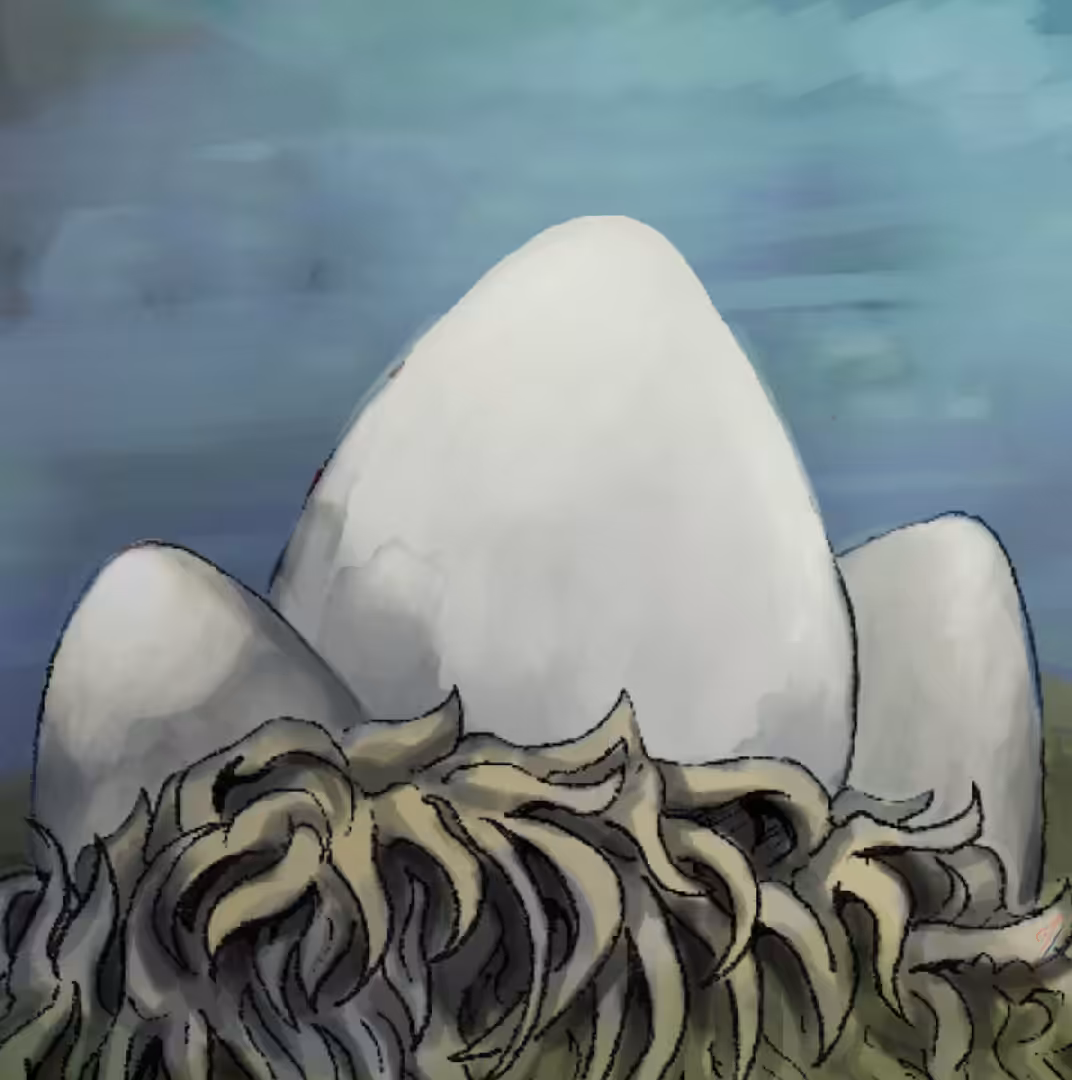 Tangata Manu