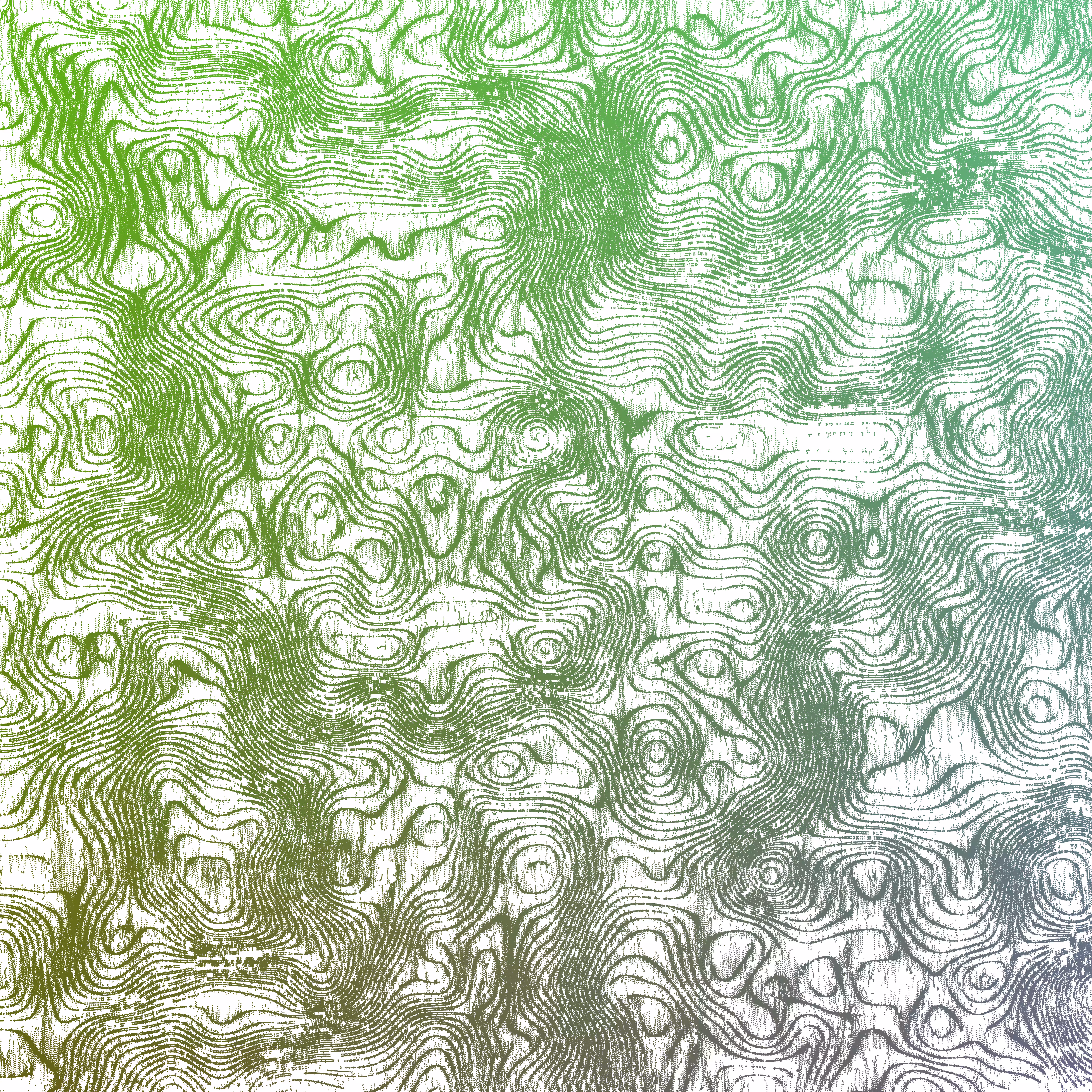 Shades of Wind: Rustlings