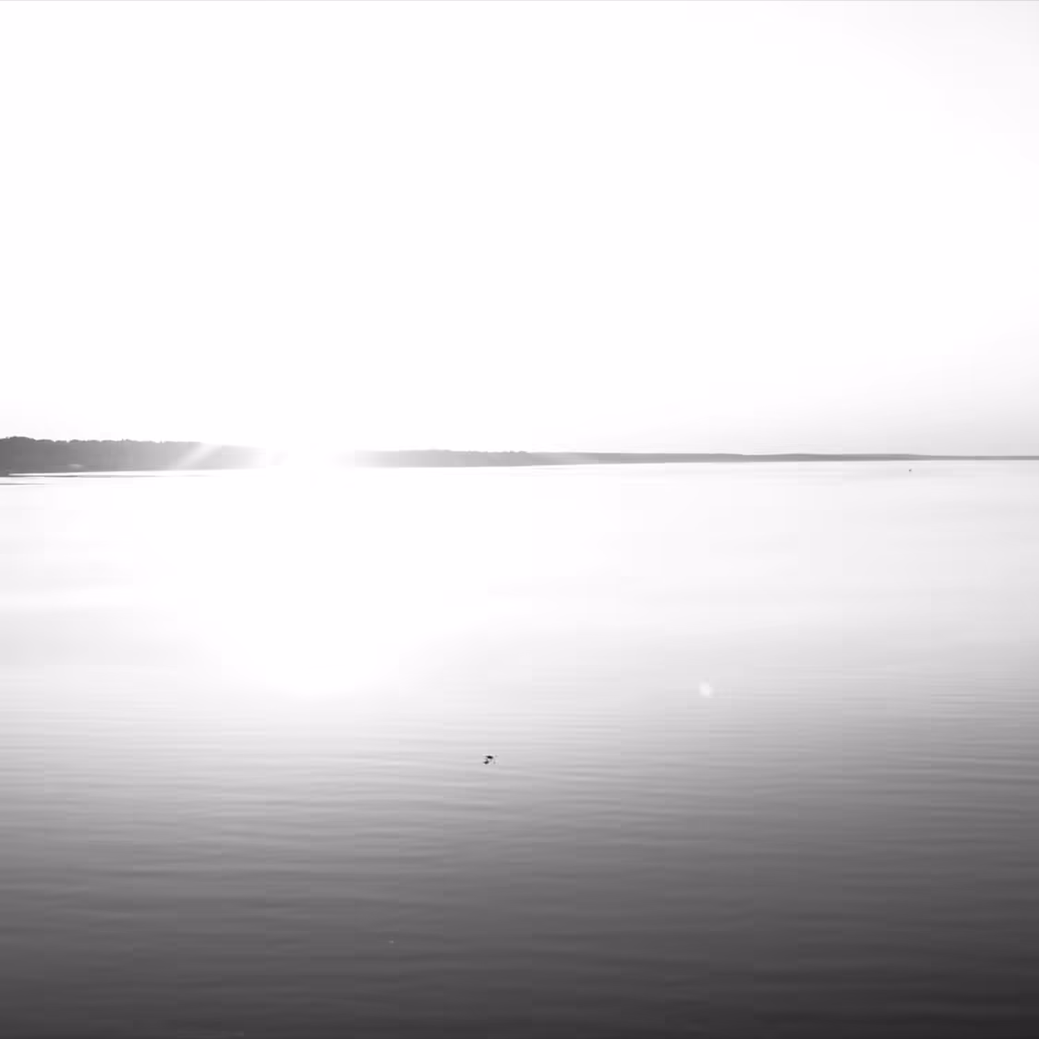 tried to reach the horizon