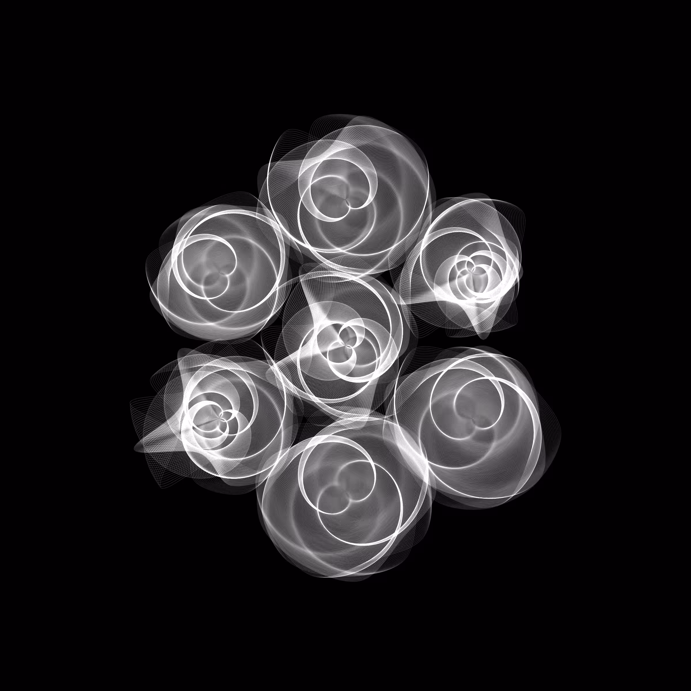 Flowers #562