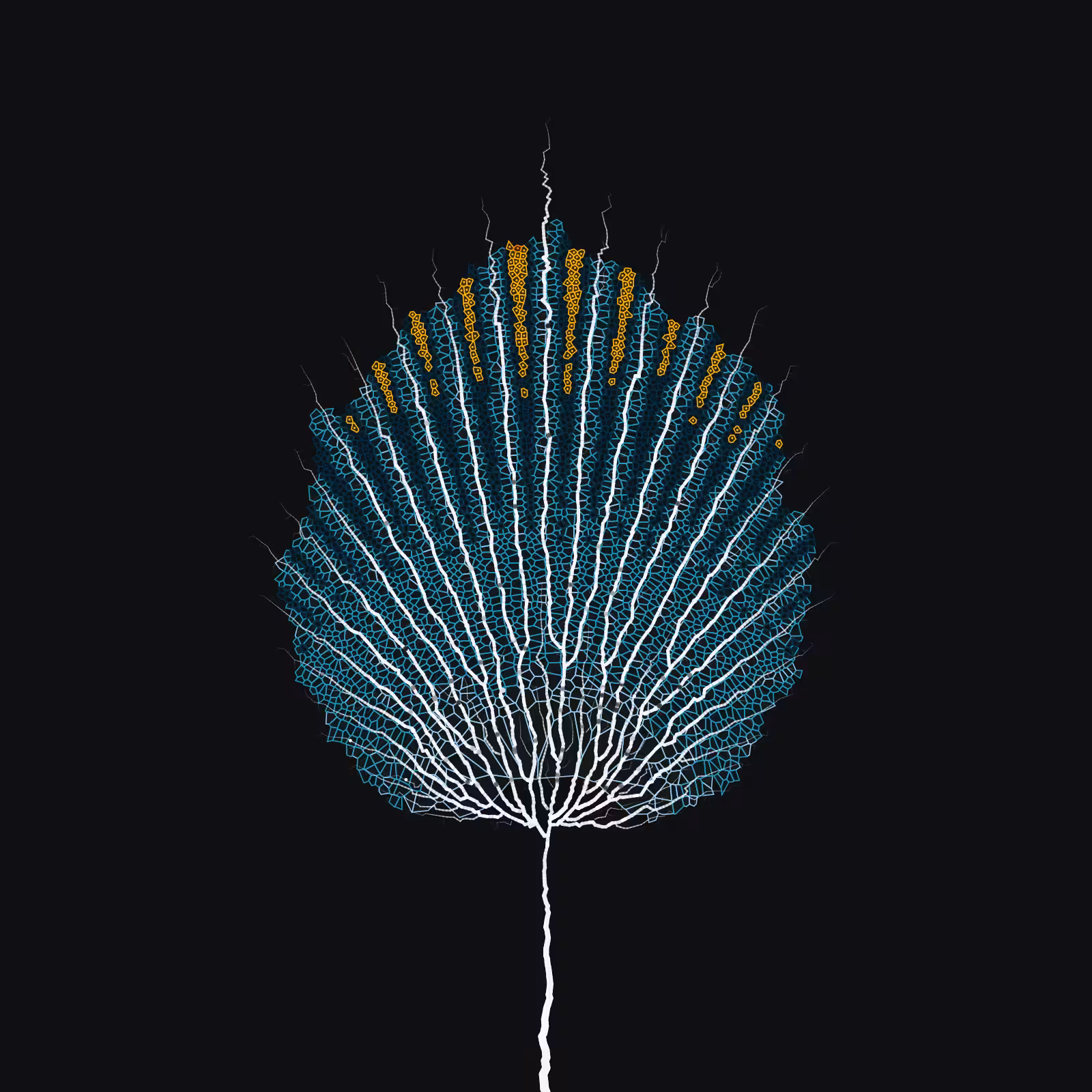 Leaf study #4