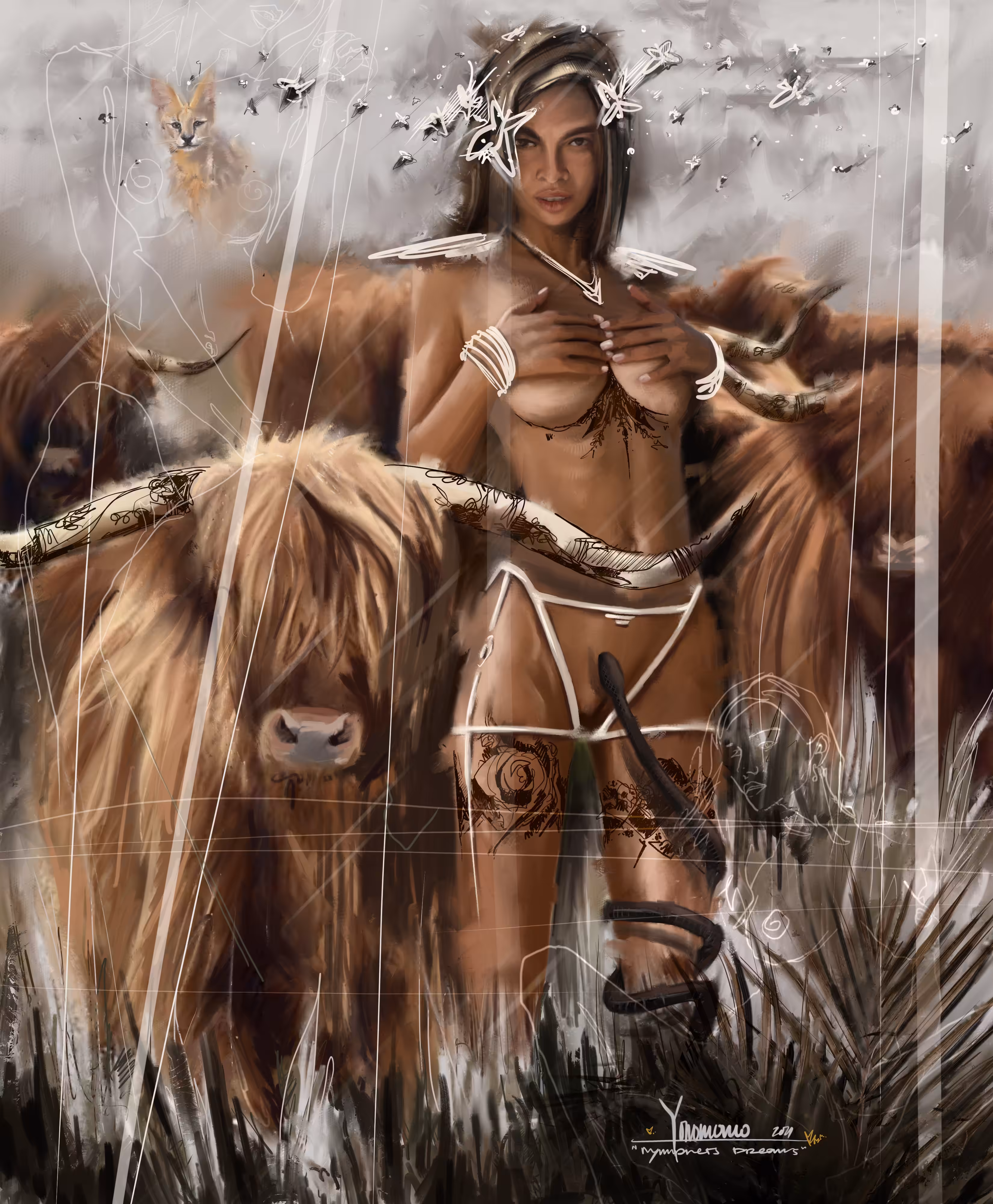 HIGHLAND CATTLE 