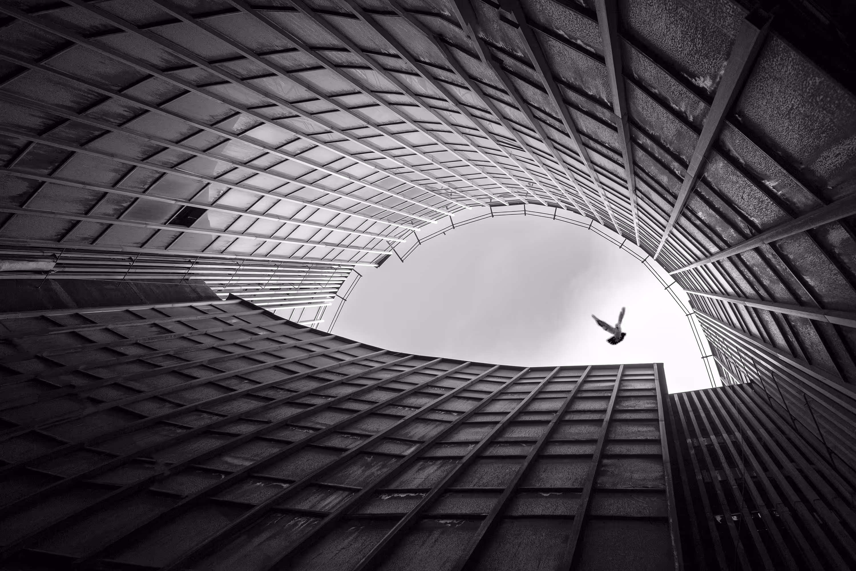 towards the light