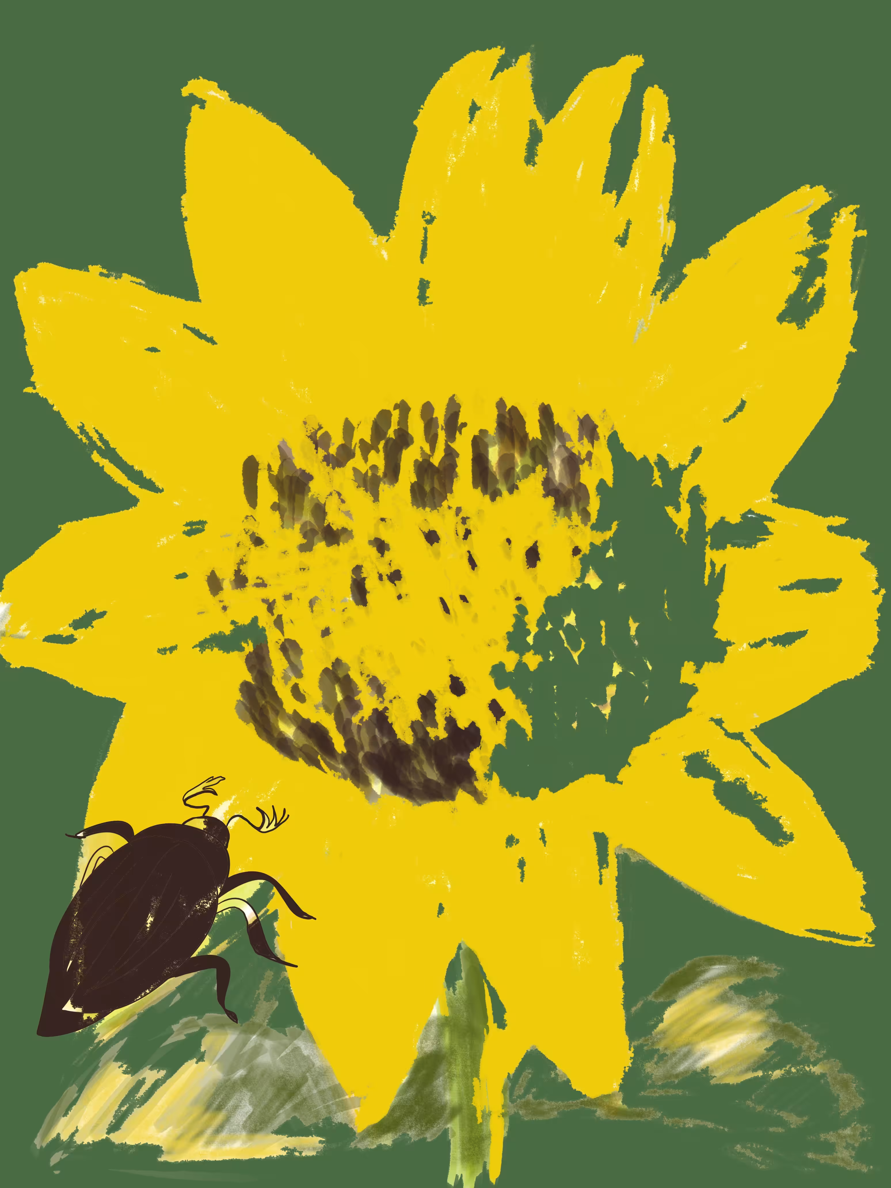Beetle on a sunflower