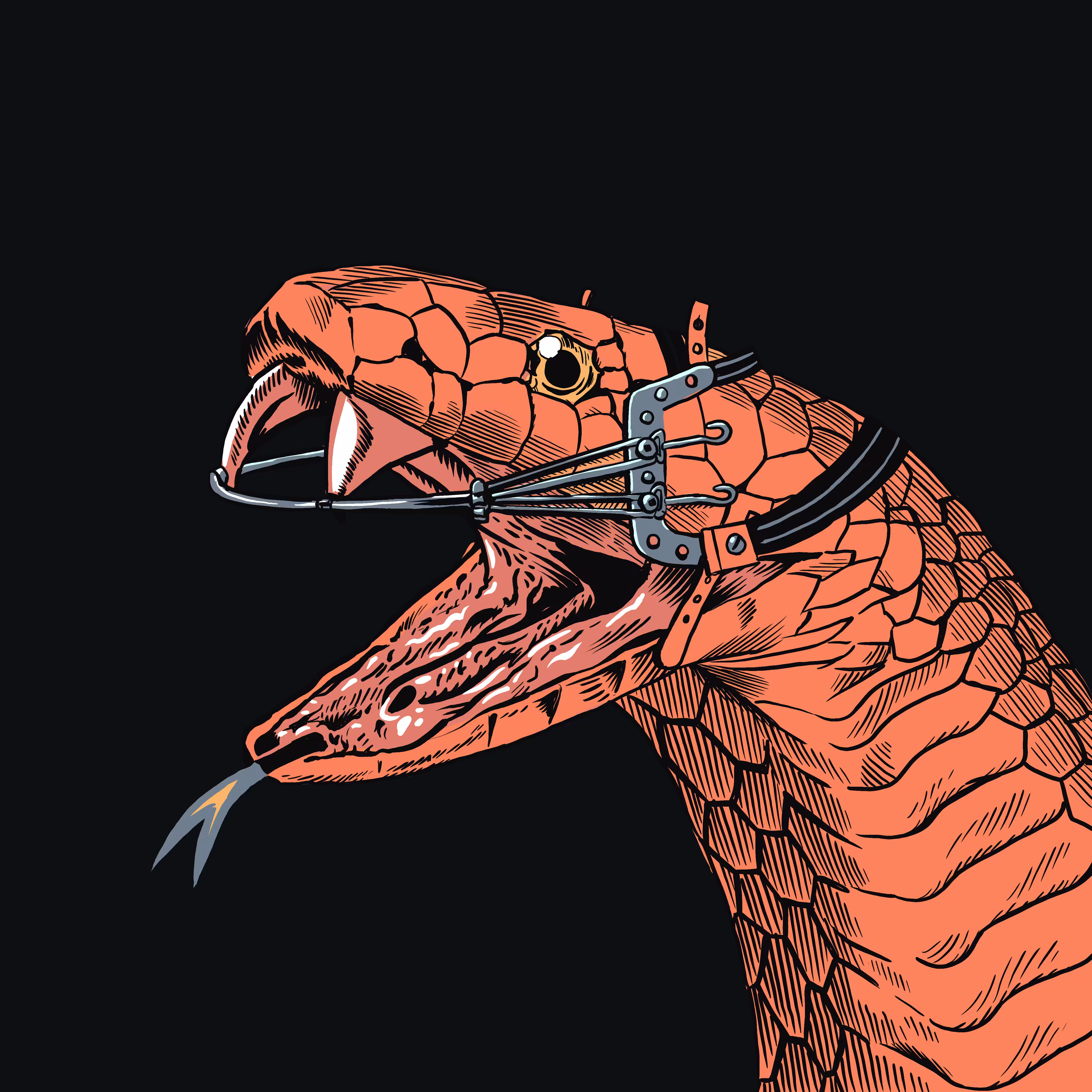 Snake with Braces