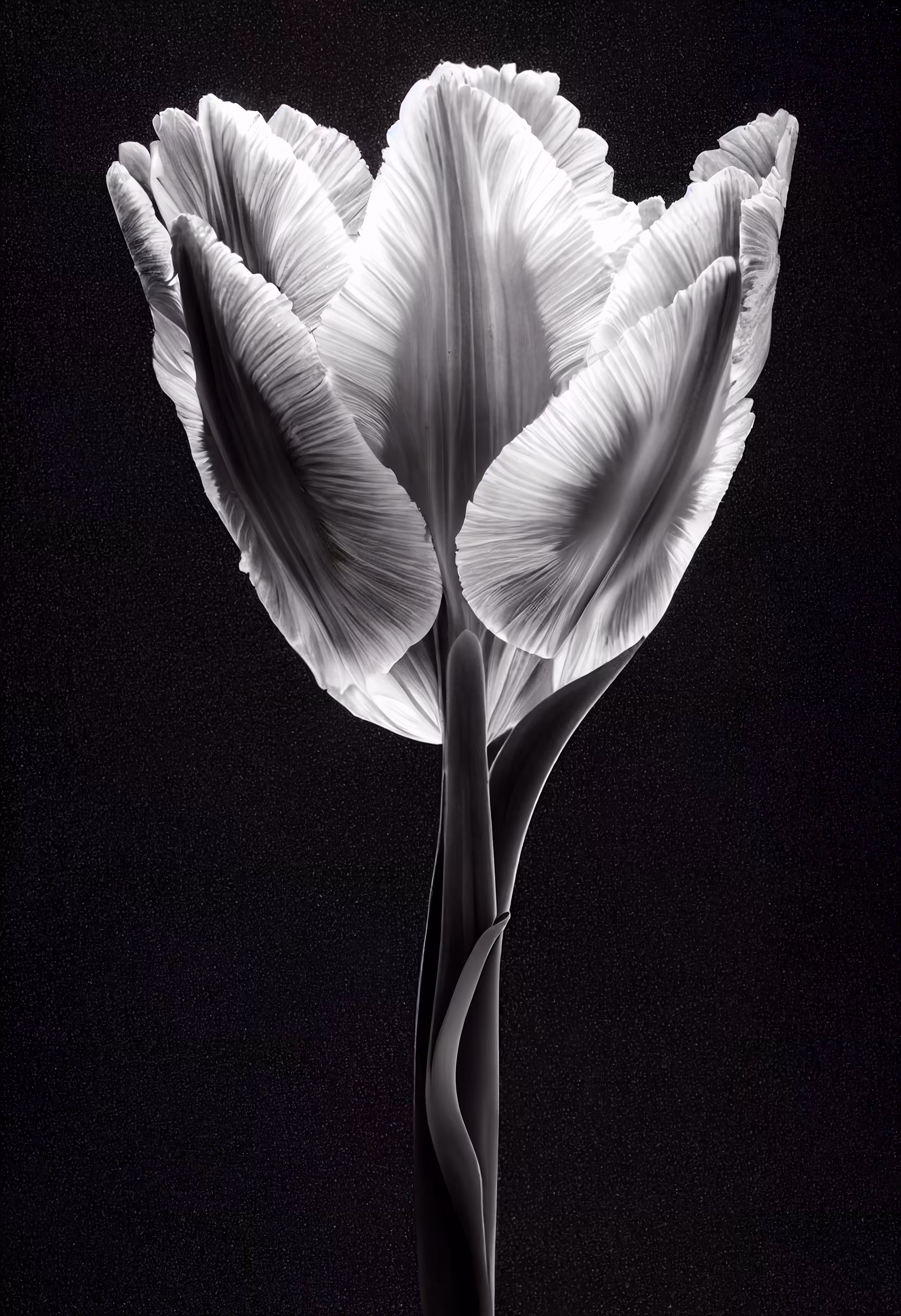 A Flower, Just For You. #139