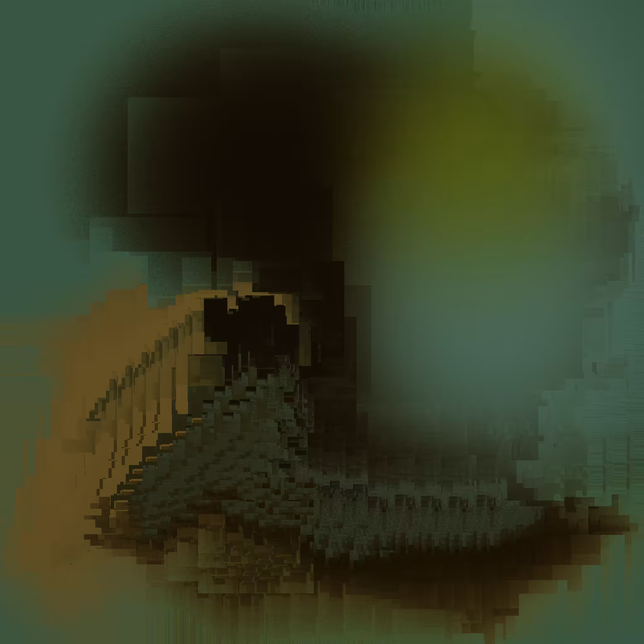 Internal Reflector #43