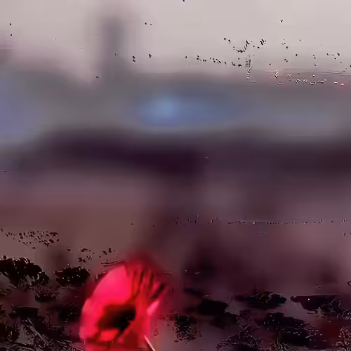 Event Field 04.22.26