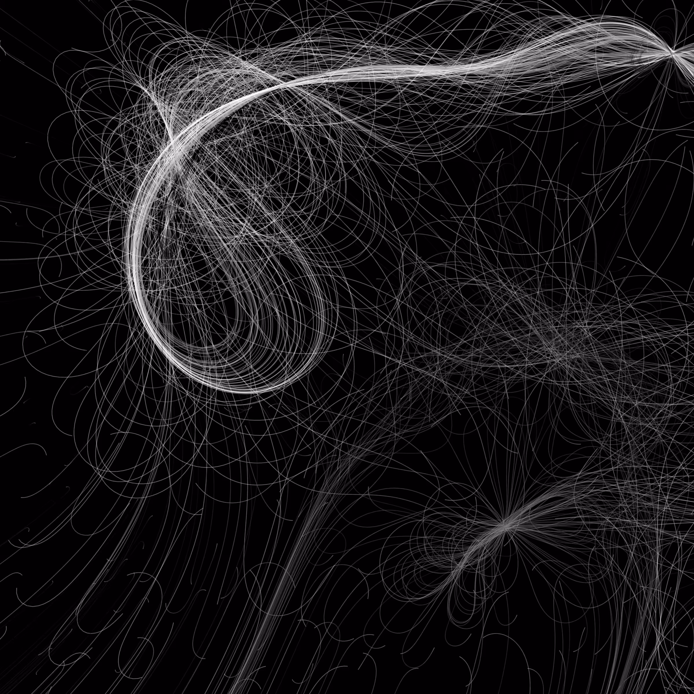 Phototaxis #415