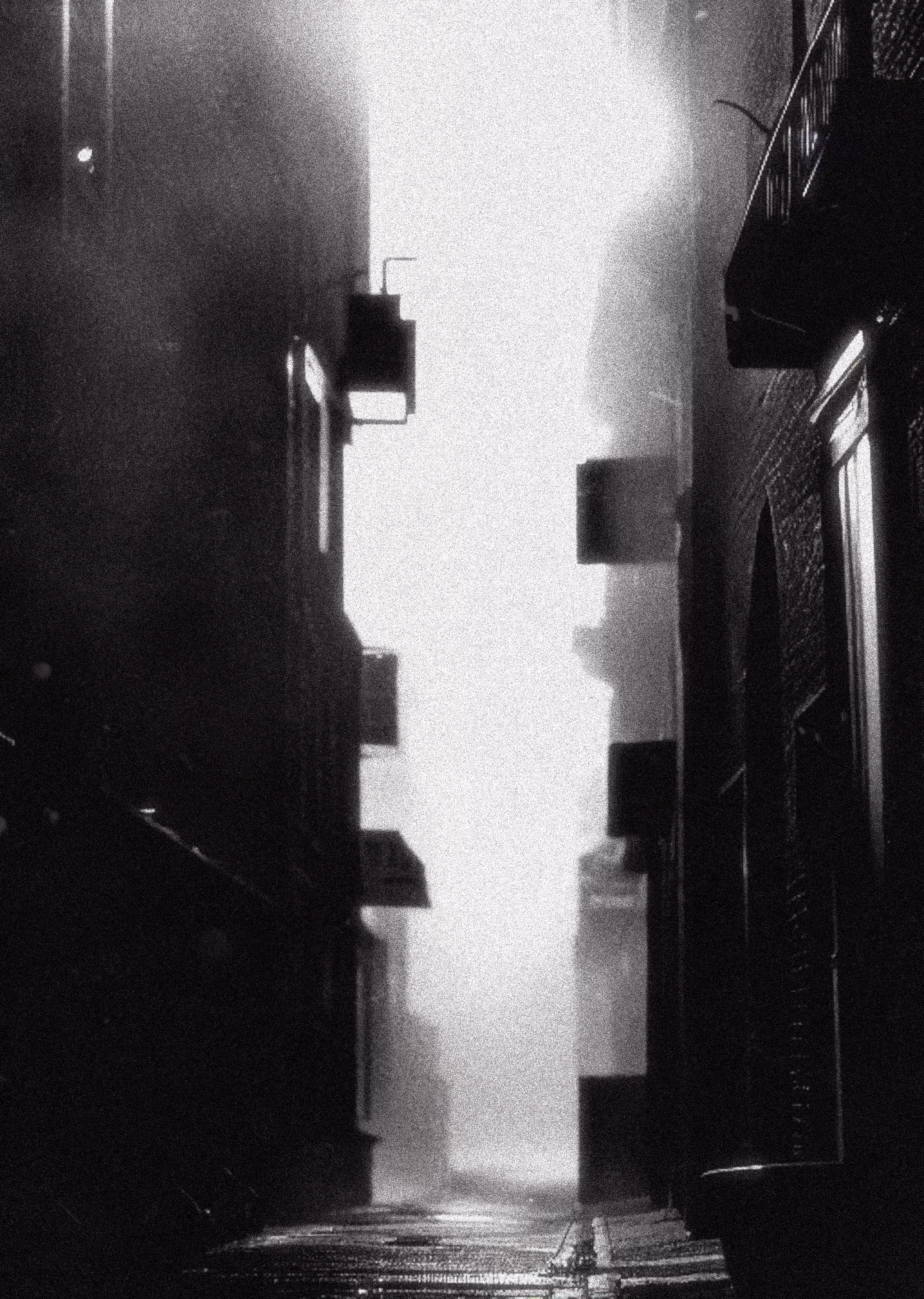 Noir dream #005