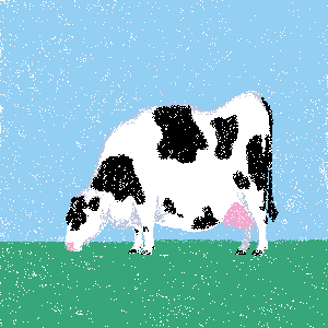 cow #51