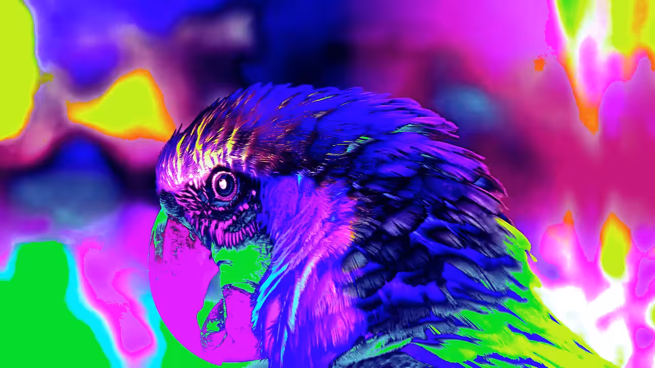 (N0001)