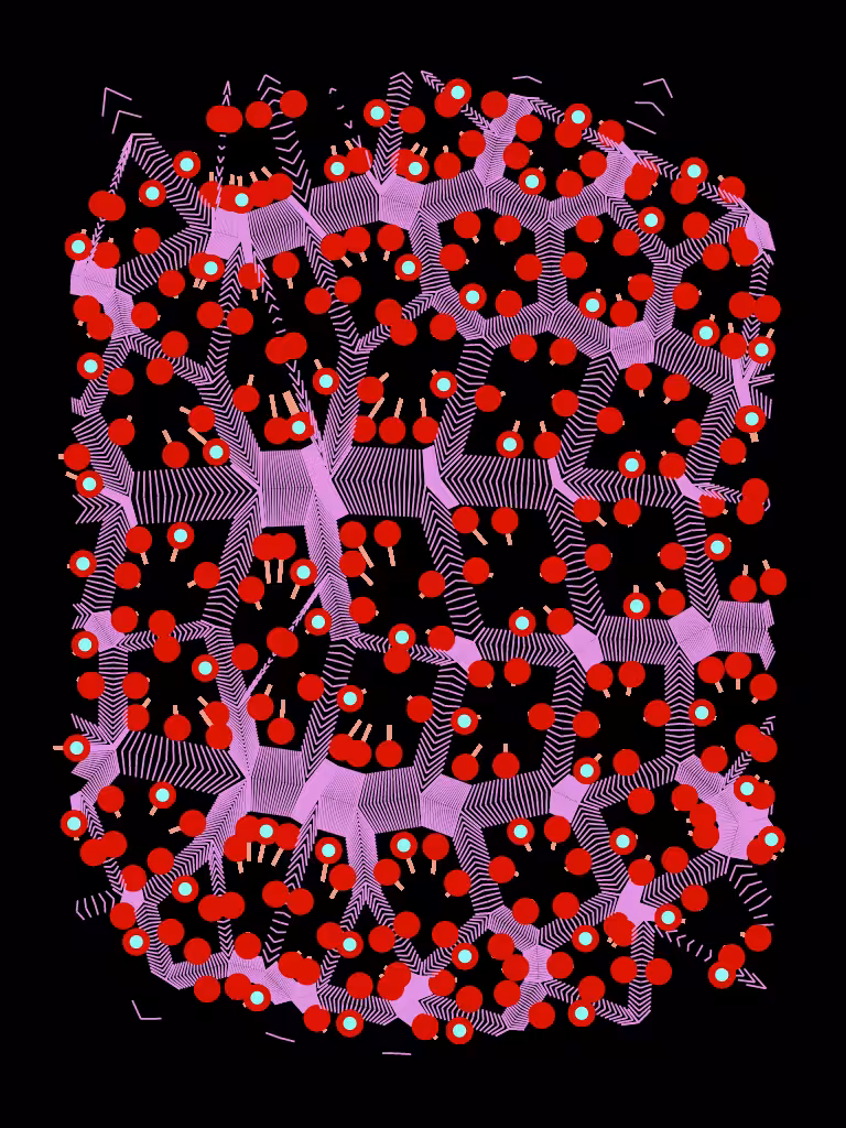 CSF DATA Integration #63