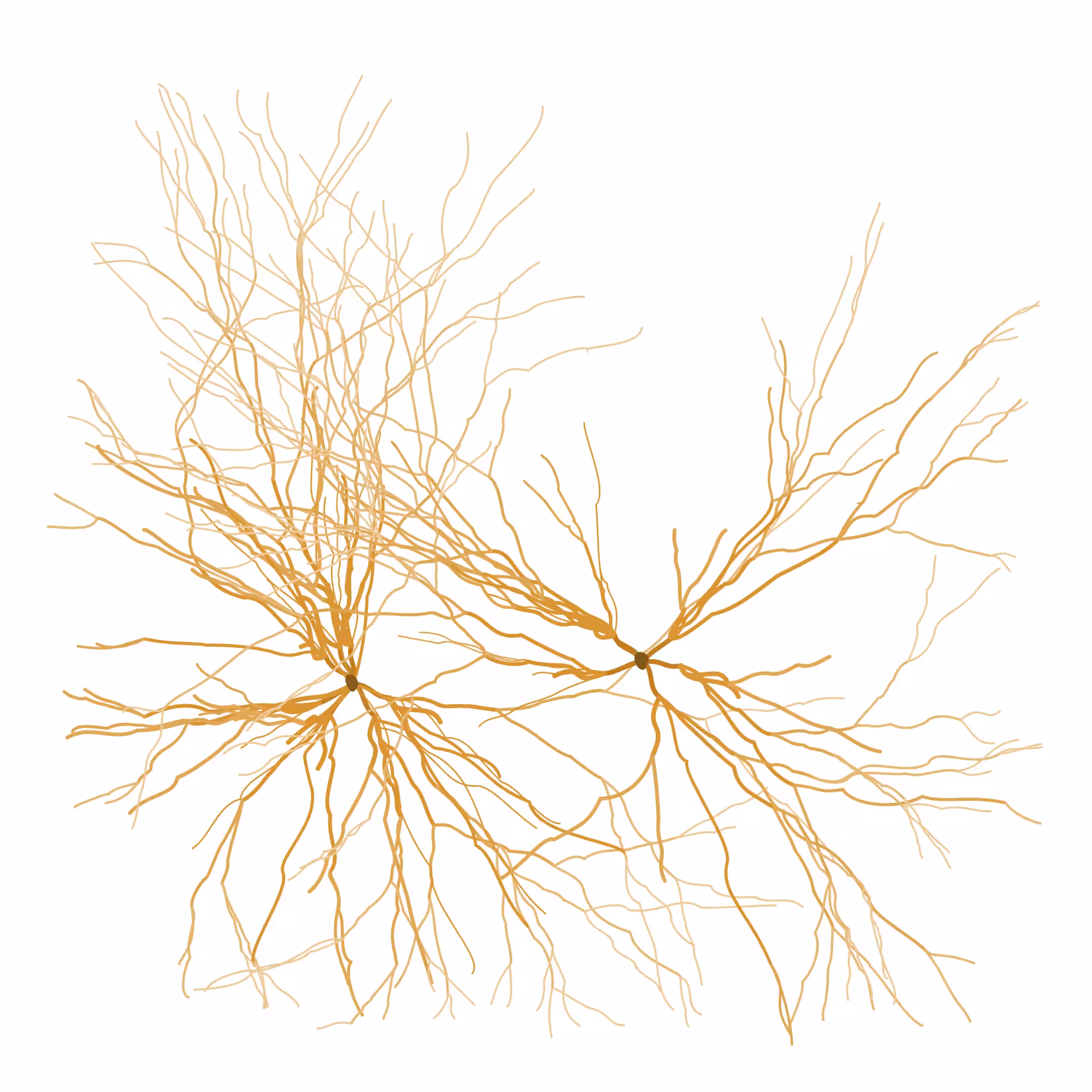 Ghost Forest Seedlings: Ghost Forest Seedling #83