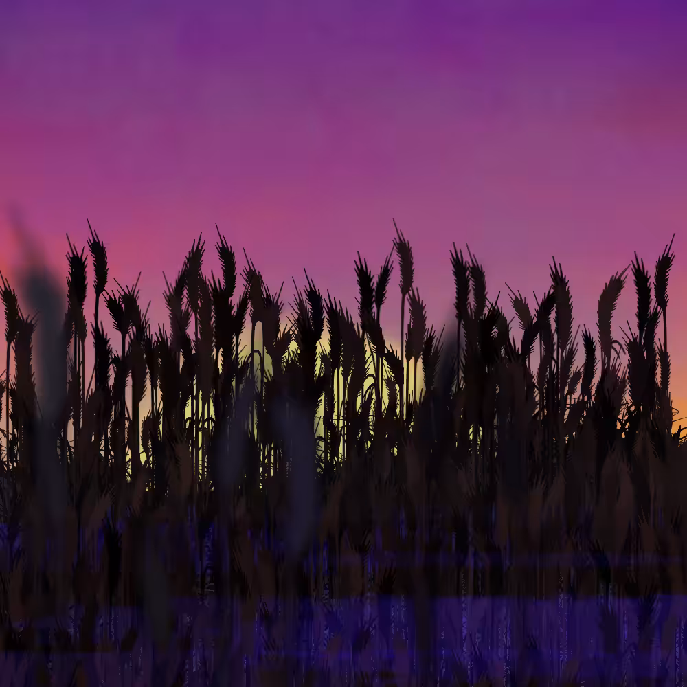 Walk in the field #63