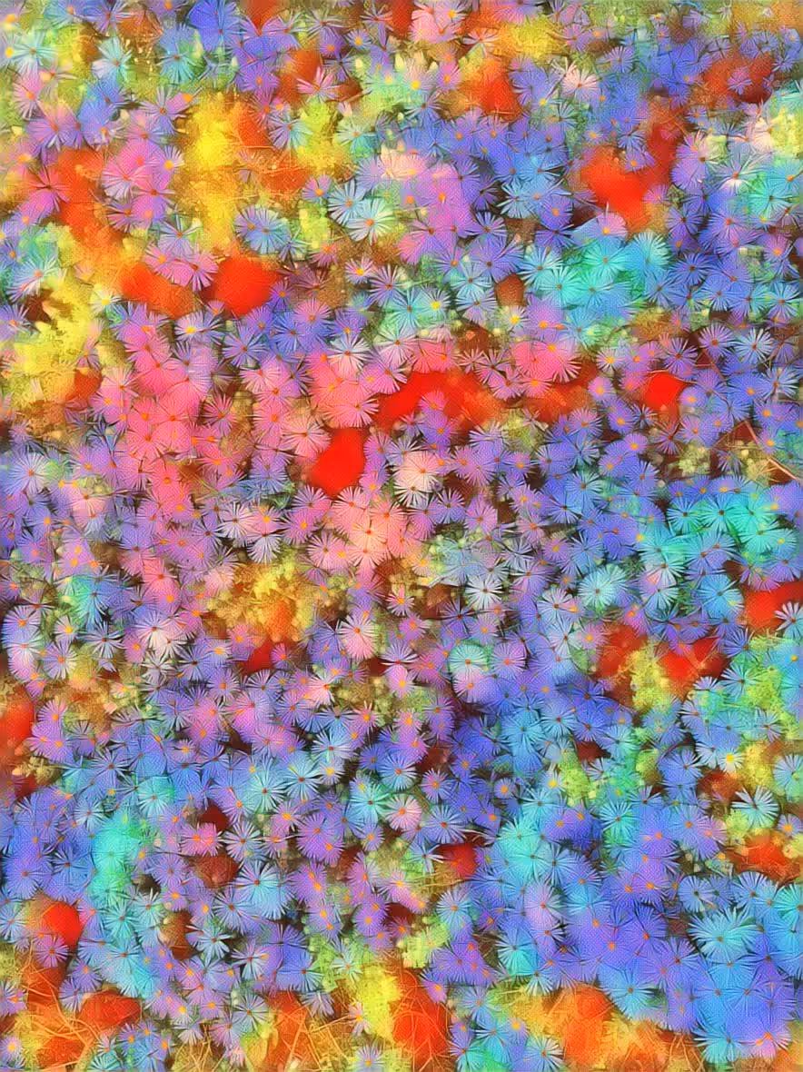 FLOWER POWER 
