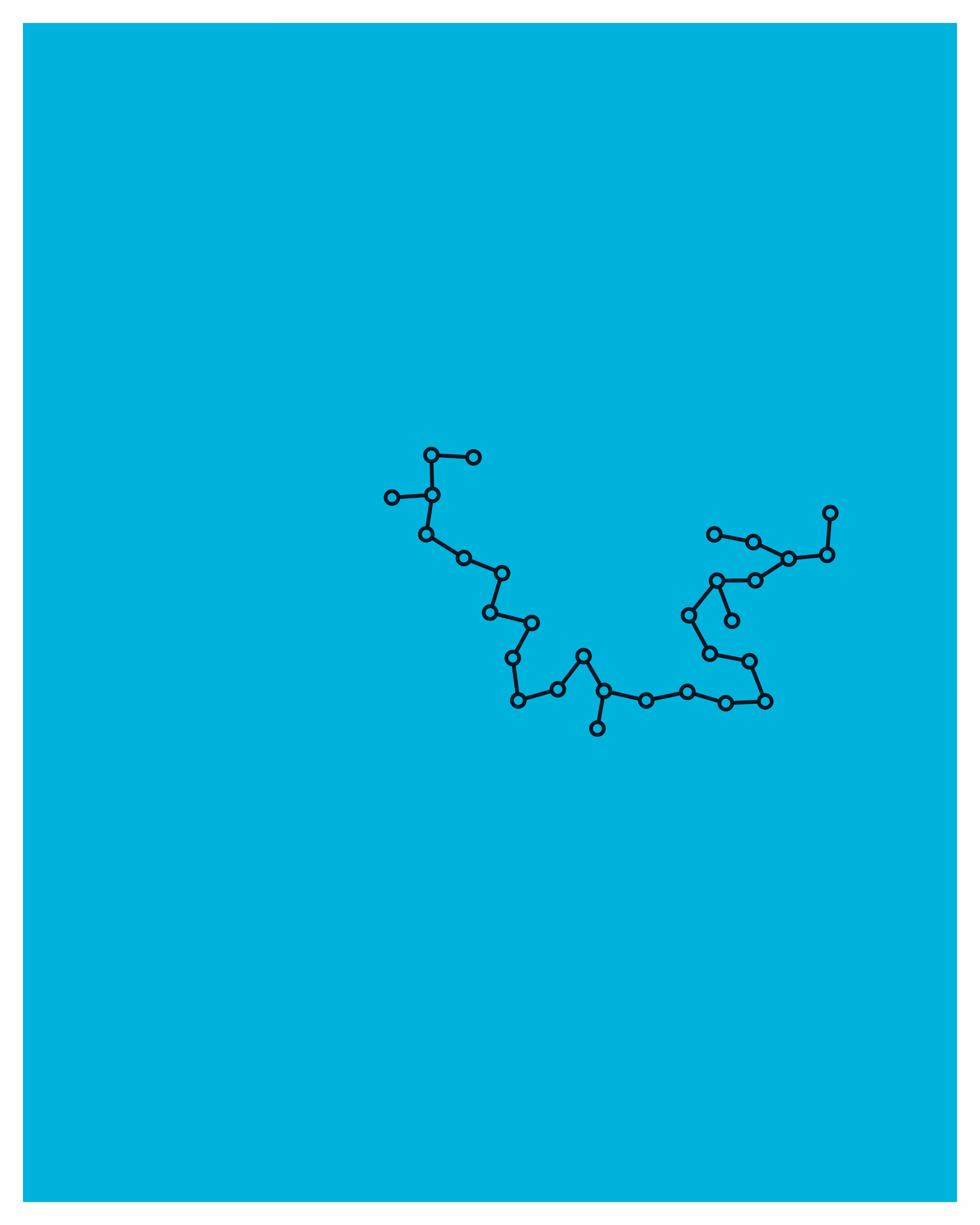 Networks #28