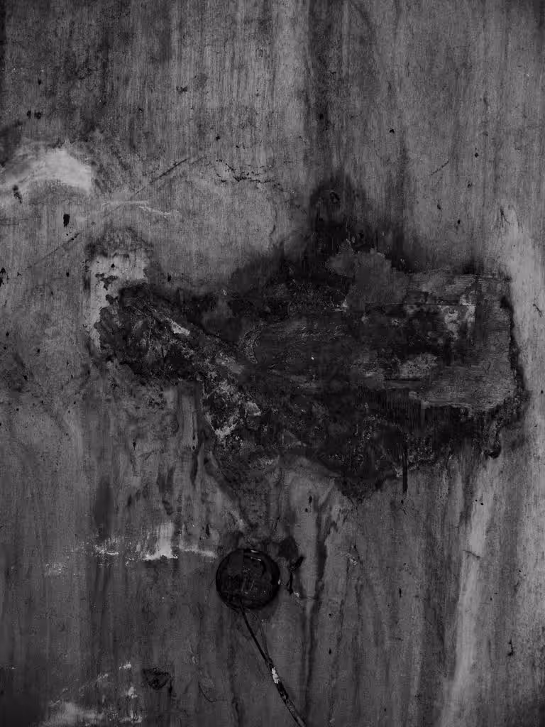 Unexpected Disfigure_08