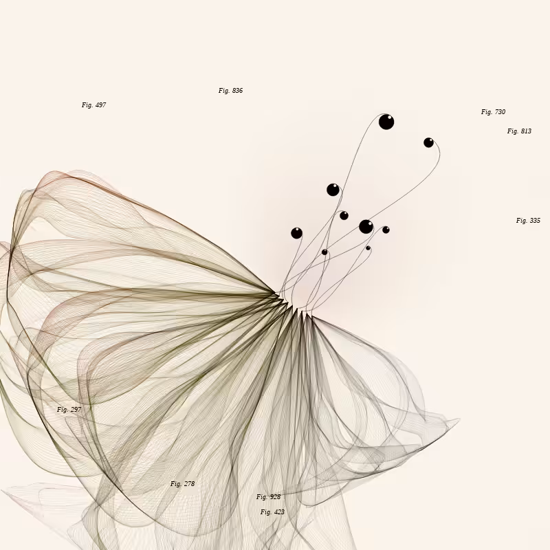 Herbarium #1036