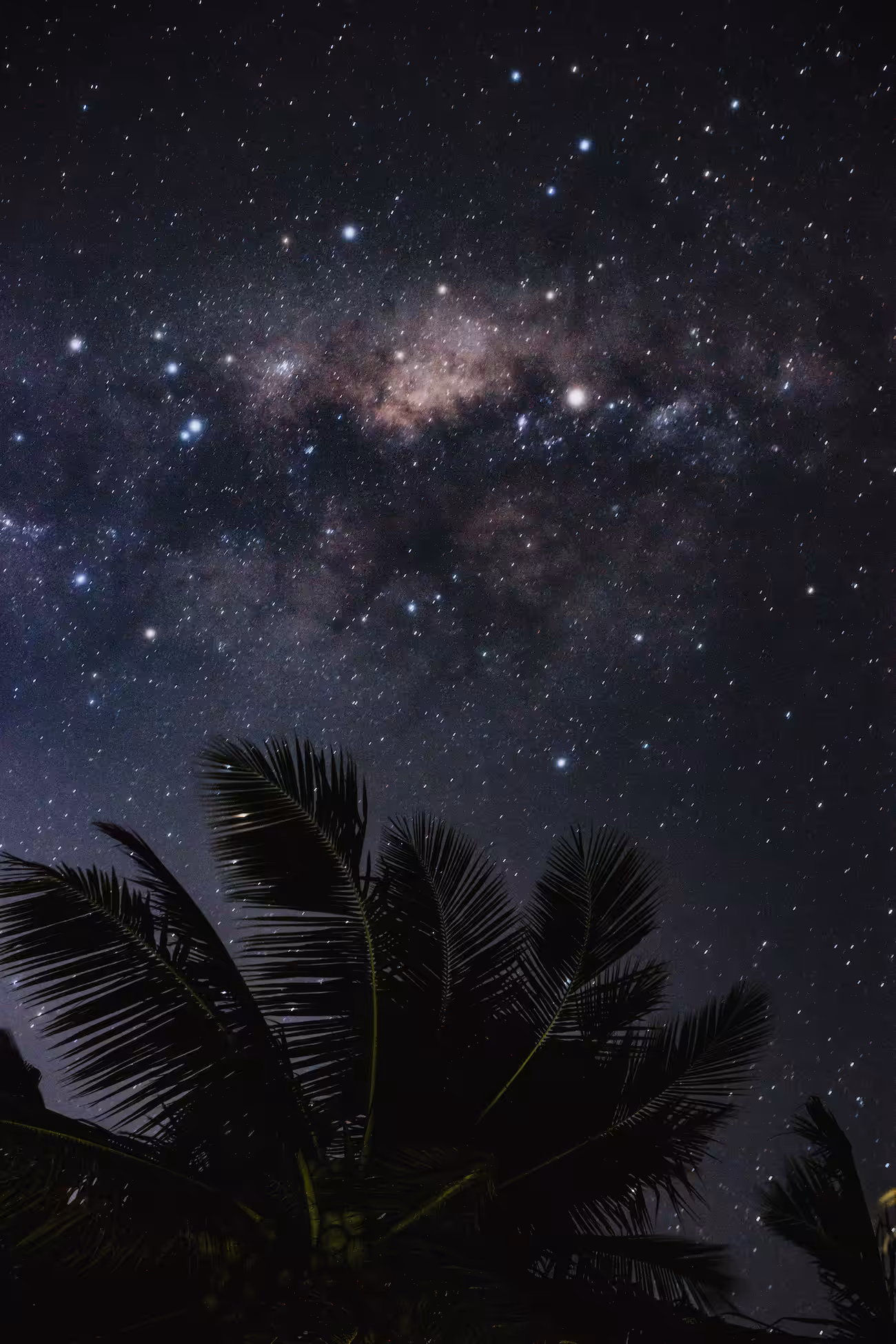 Galaxy Over Tropical Paradise