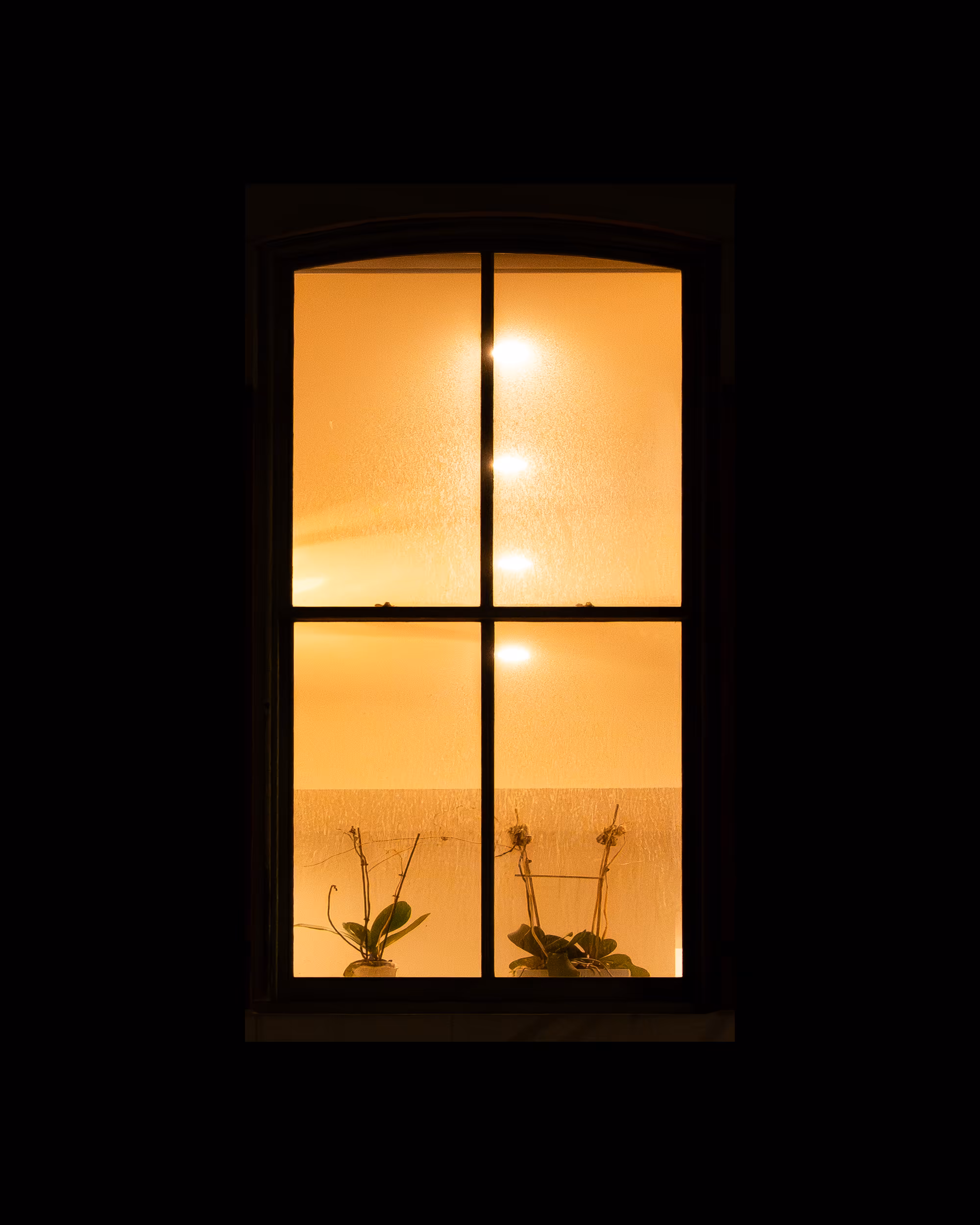 WINDOW 721